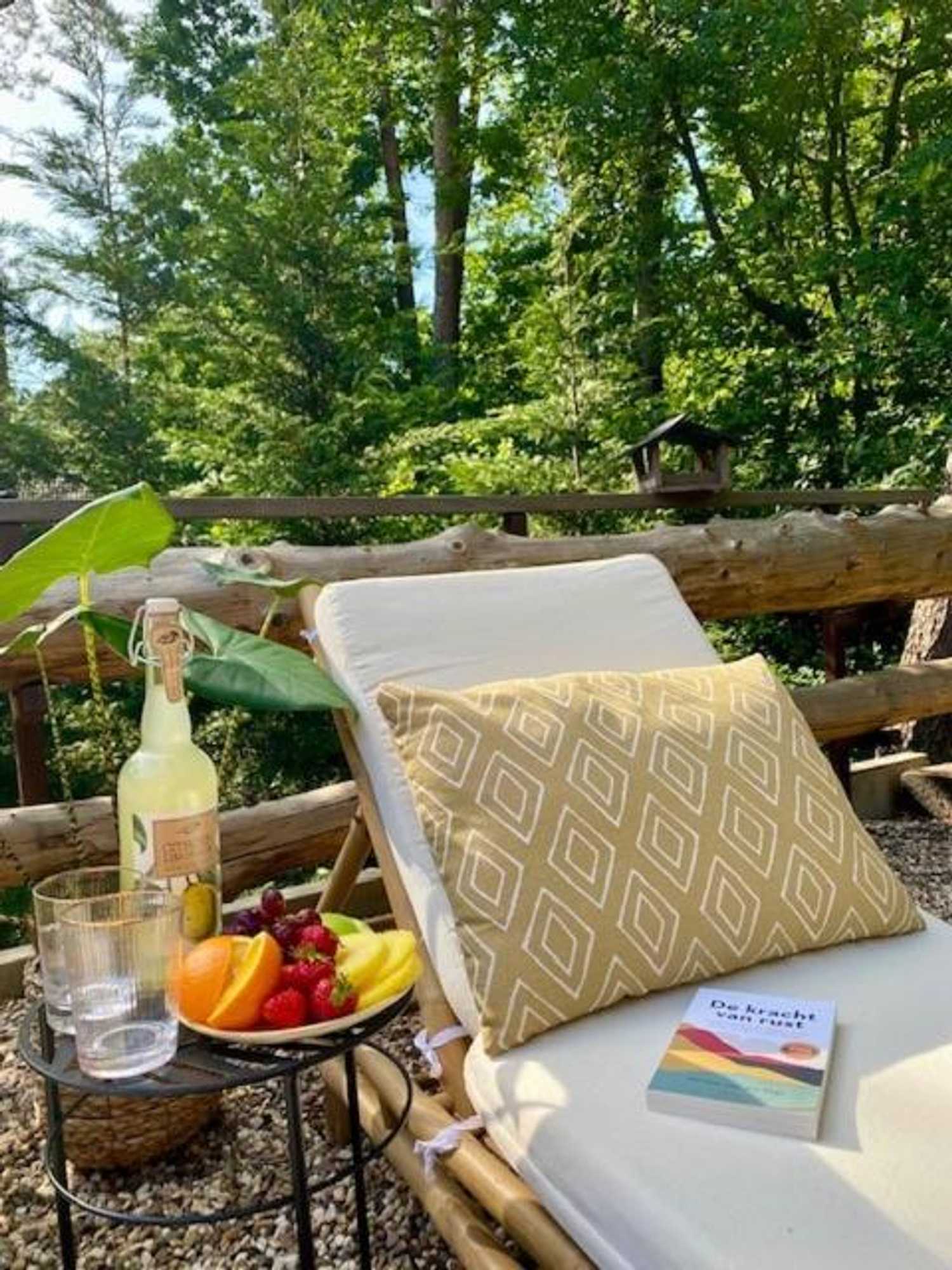 Gift card for B&b Forrest