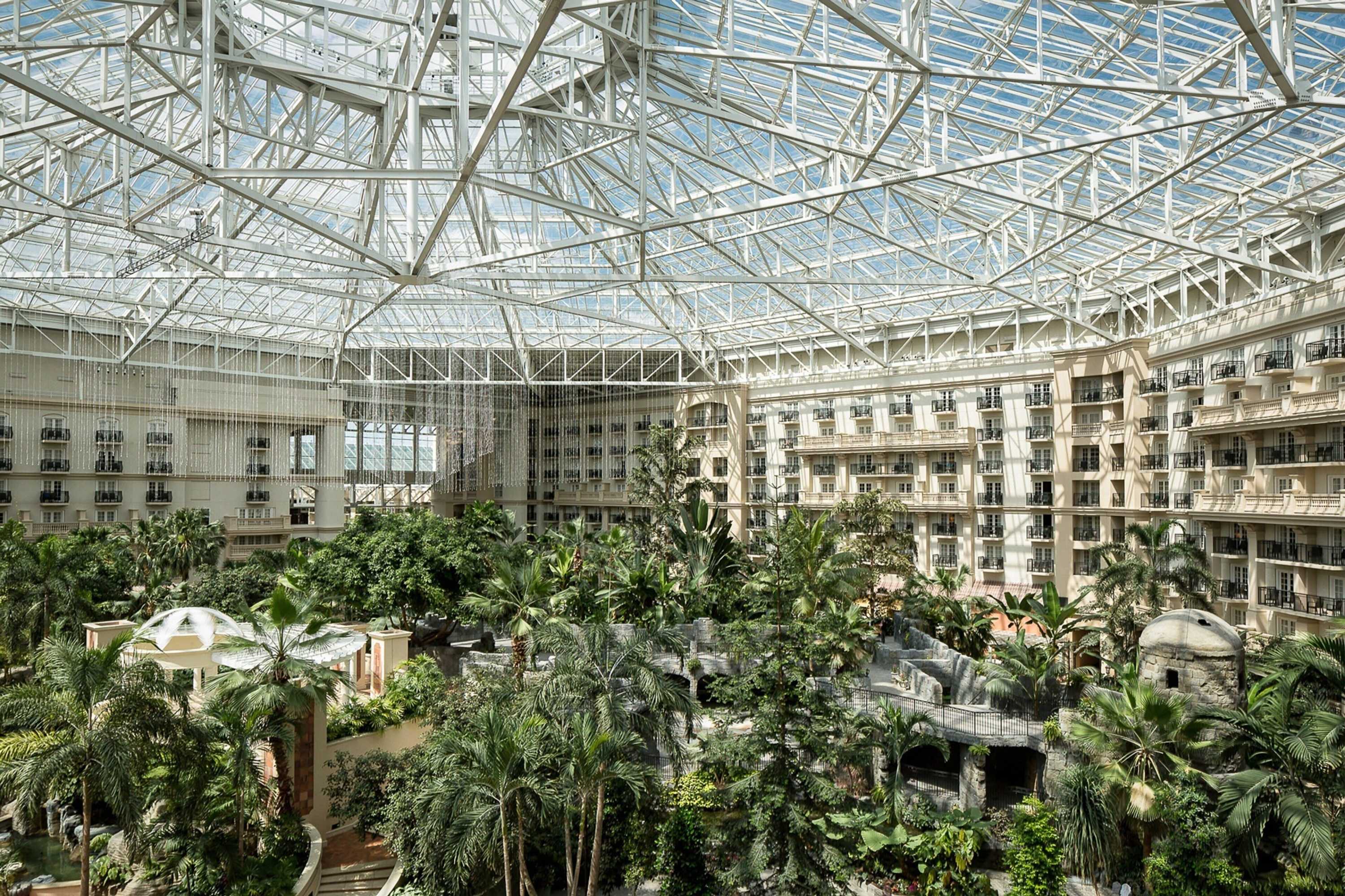 Gift card for Gaylord Palms Resort & Convention Center