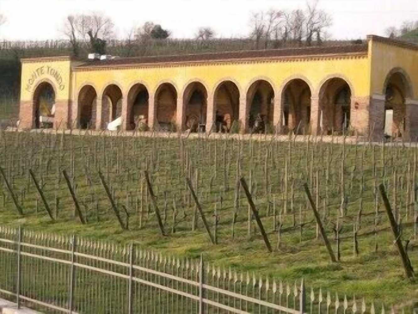 Gift card for Monte Tondo Winery