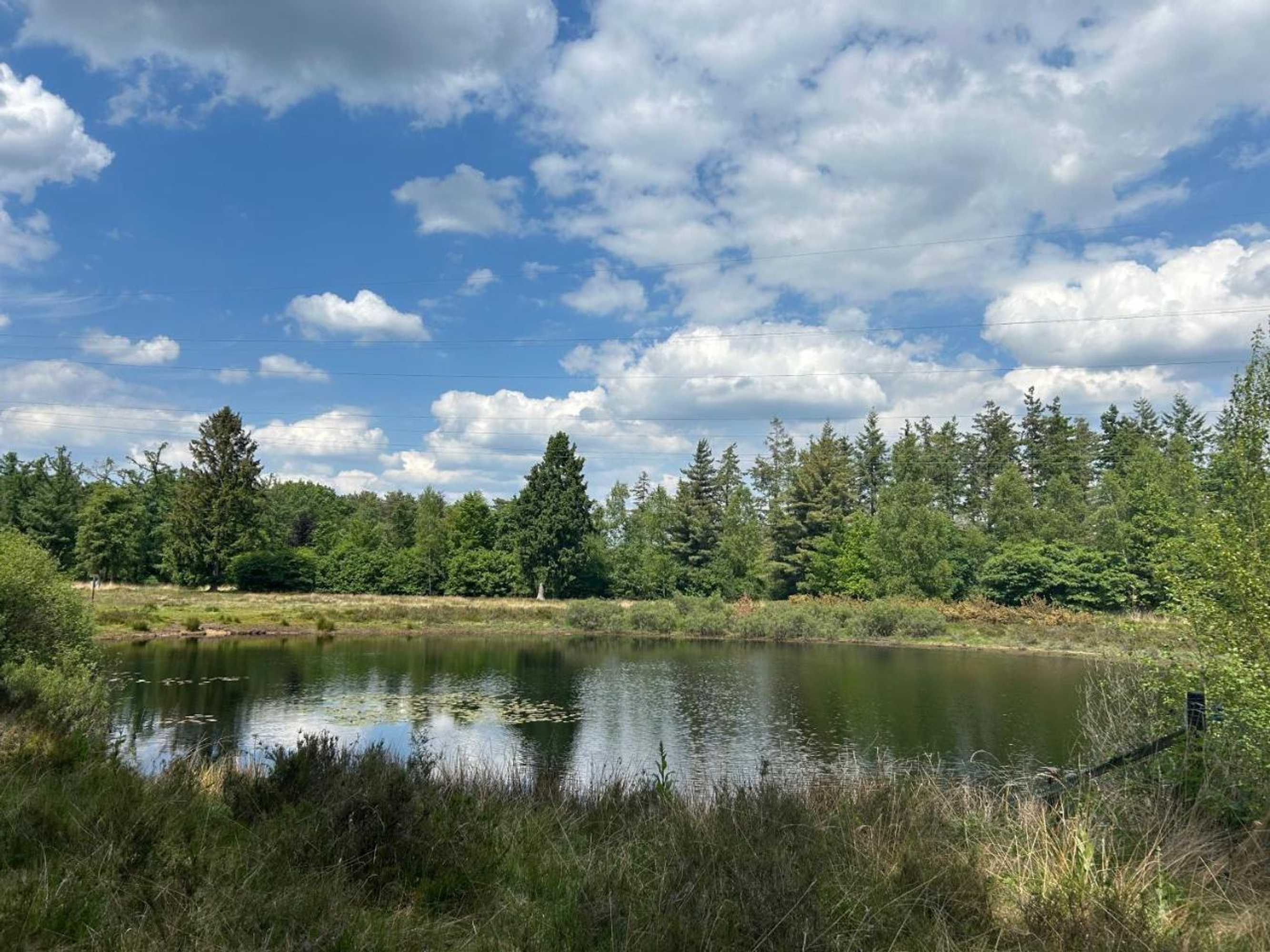 Gift card for Bed&breakfast Kamersven