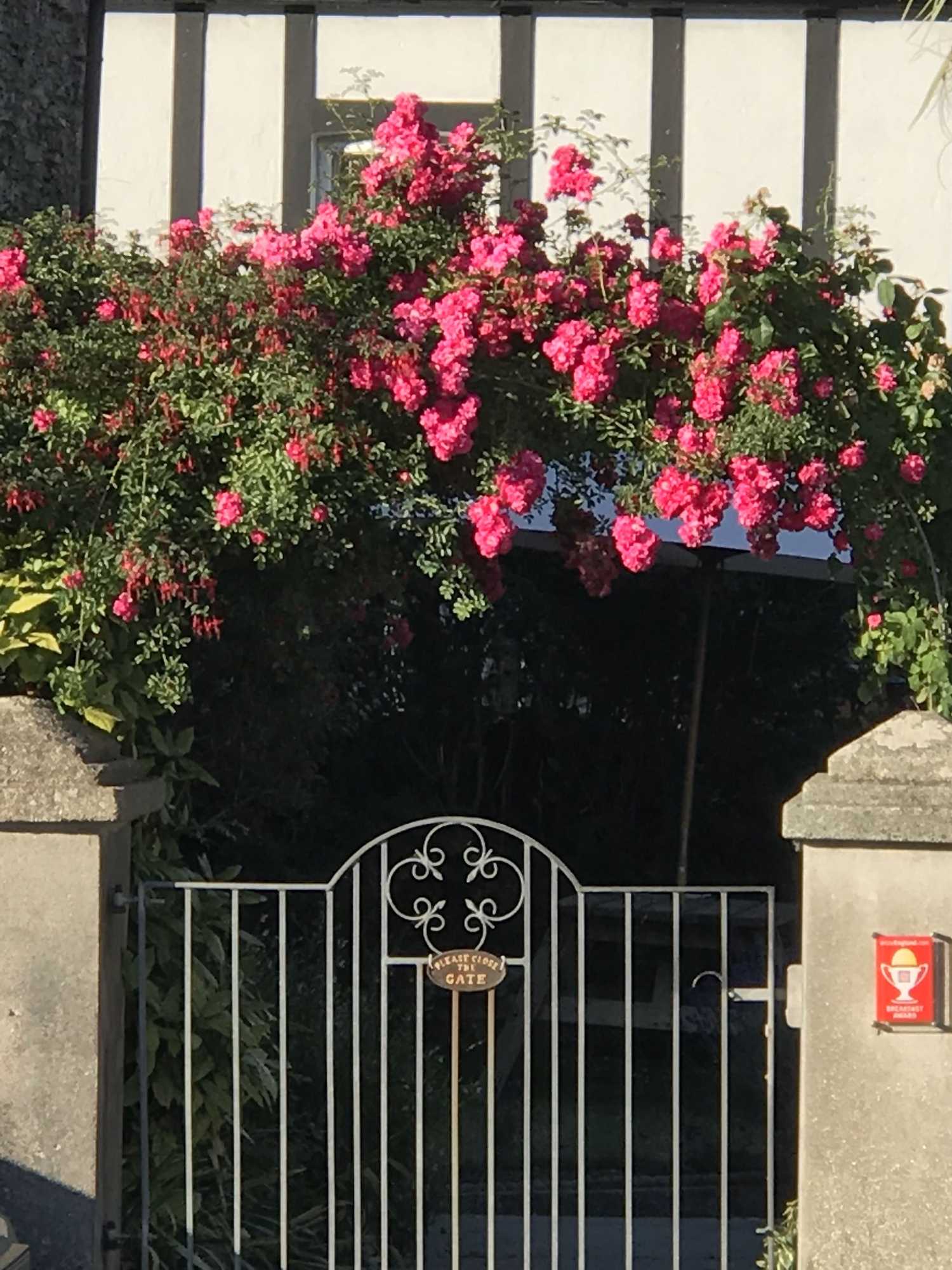 Gift card for Spring Gardens B&b