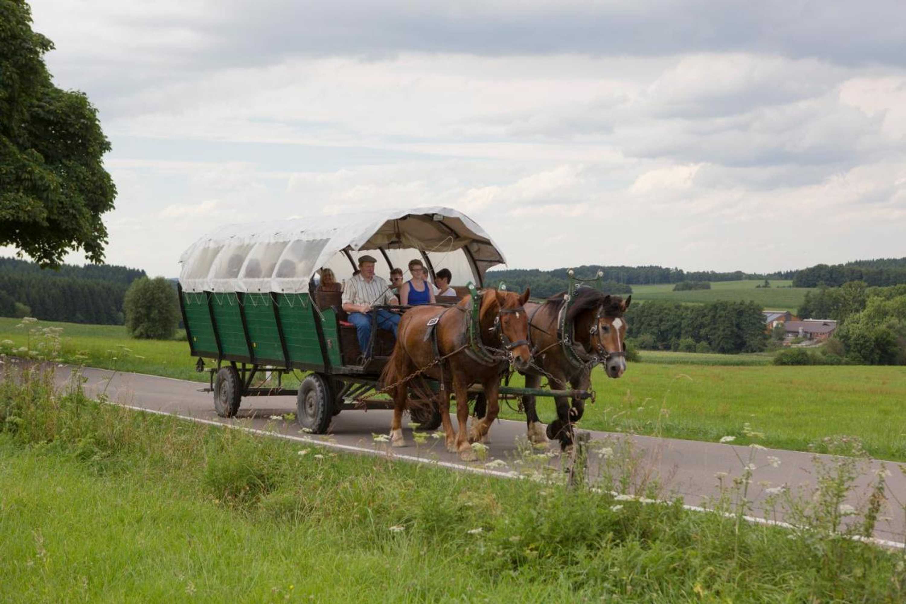 Gift card for Landgasthof Tönnes