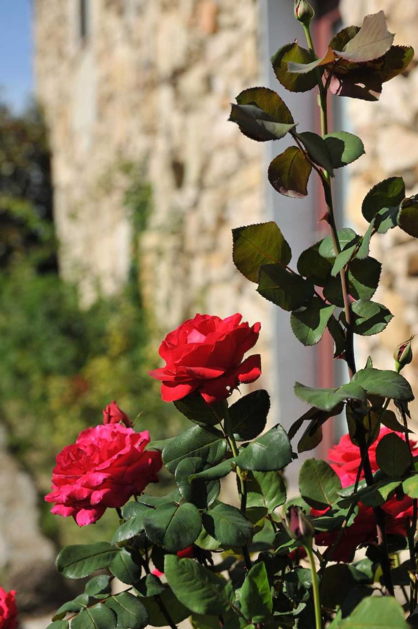 Gift card for Quinta Da Longra