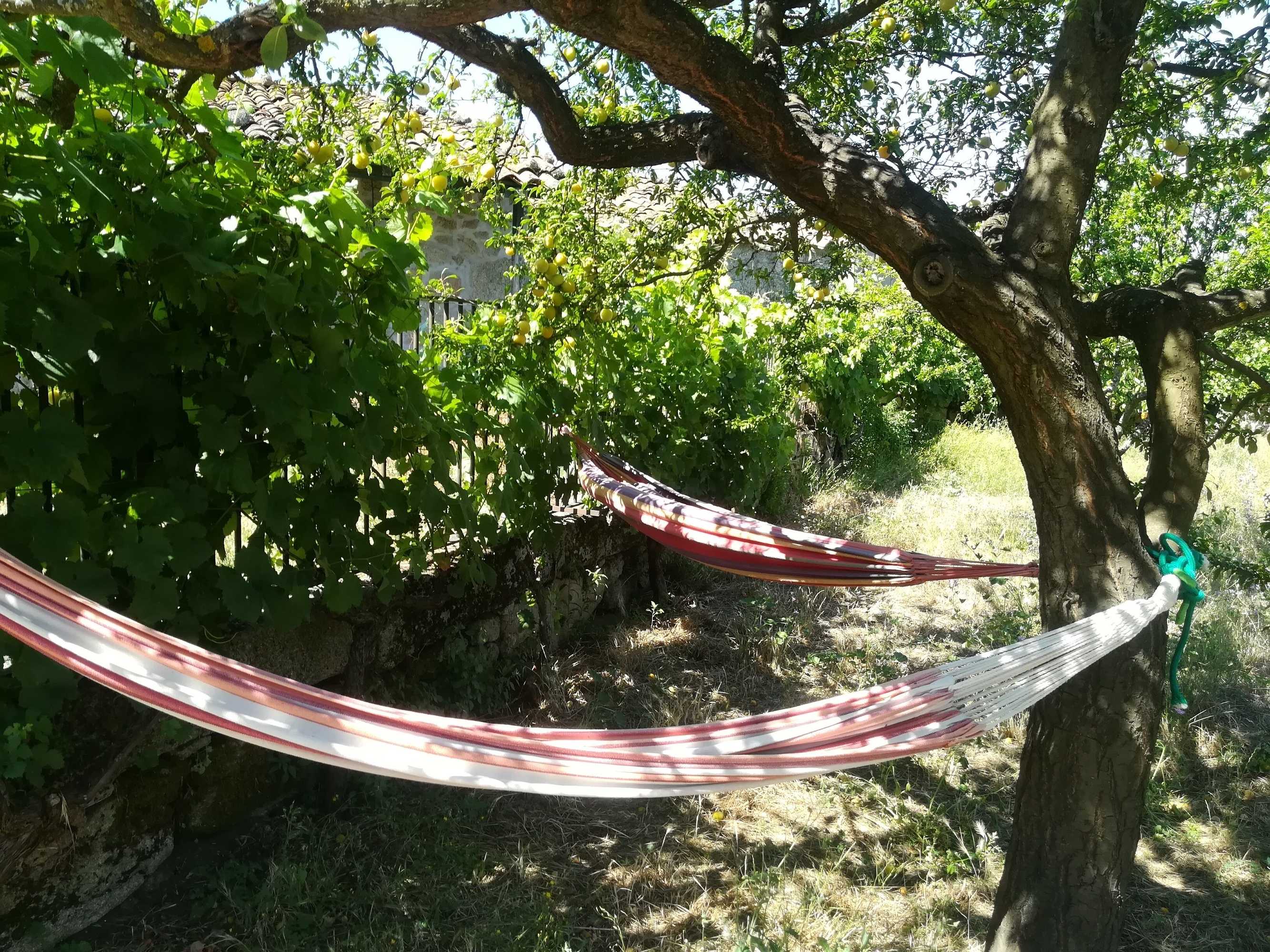 Gift card for Solar Dos Carvalhos