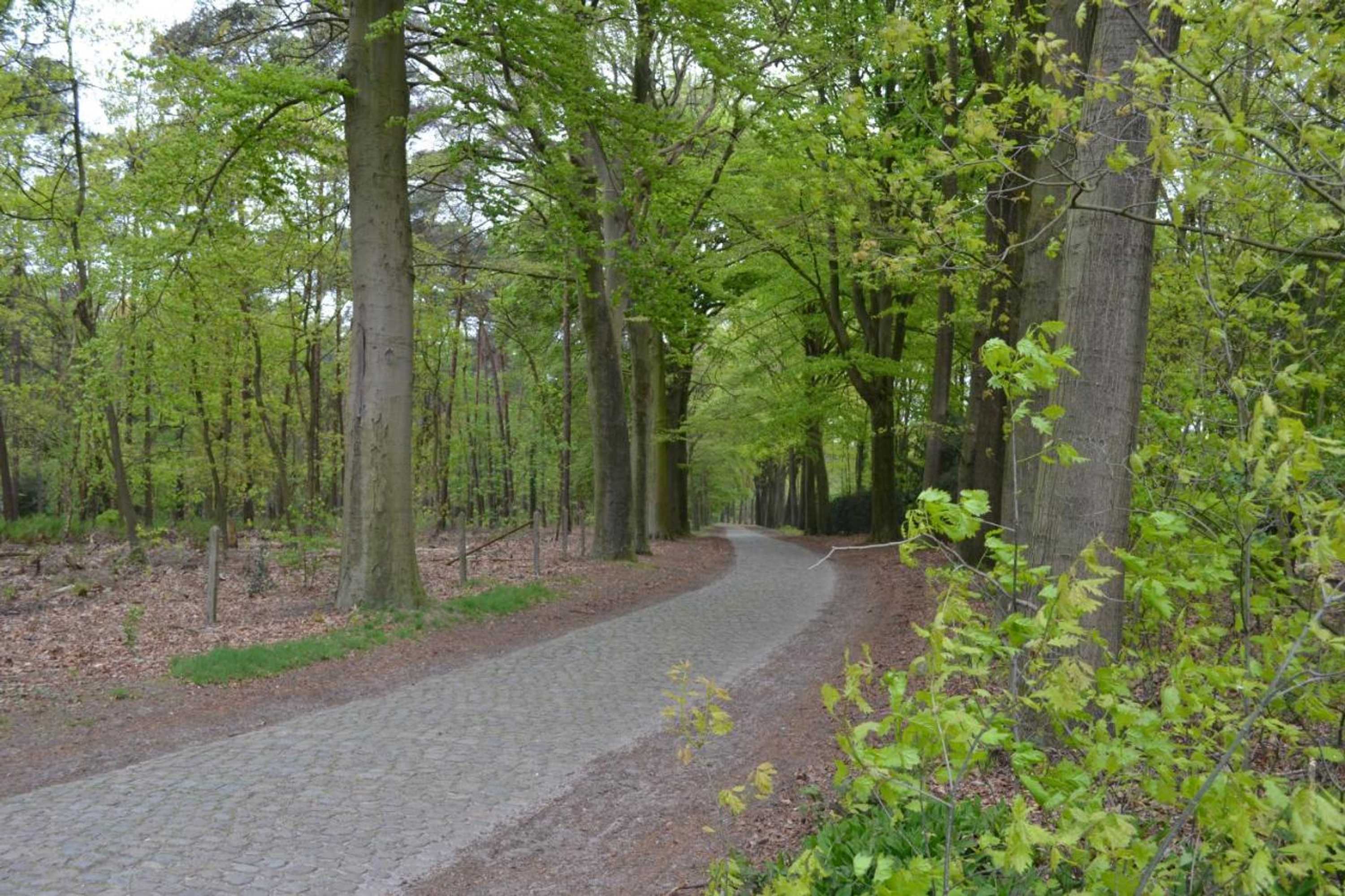 Gift card for B&b 't Heirweggoed
