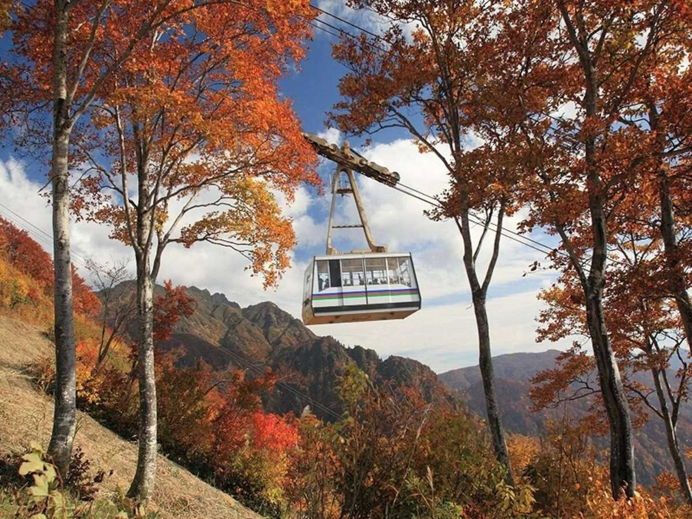 Gift card for Hotel Yumoto