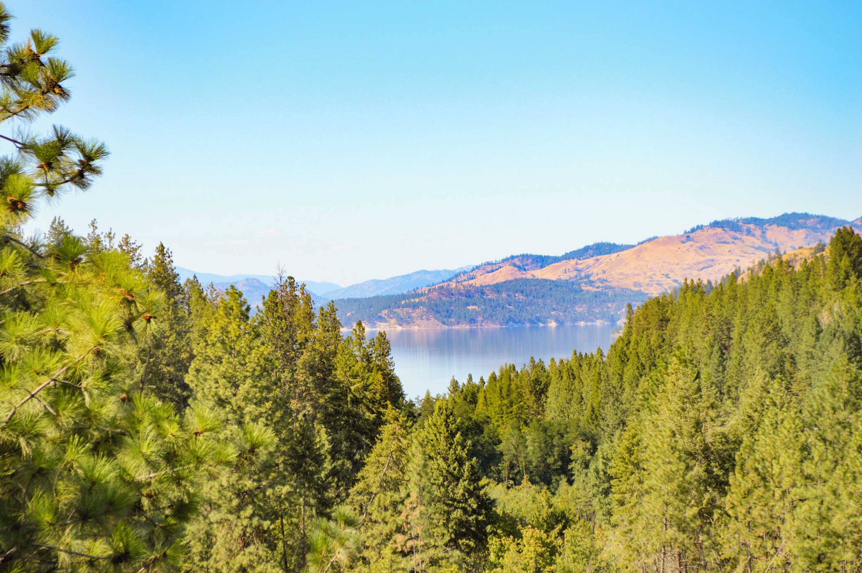 Gift card for Columbia Point Resort