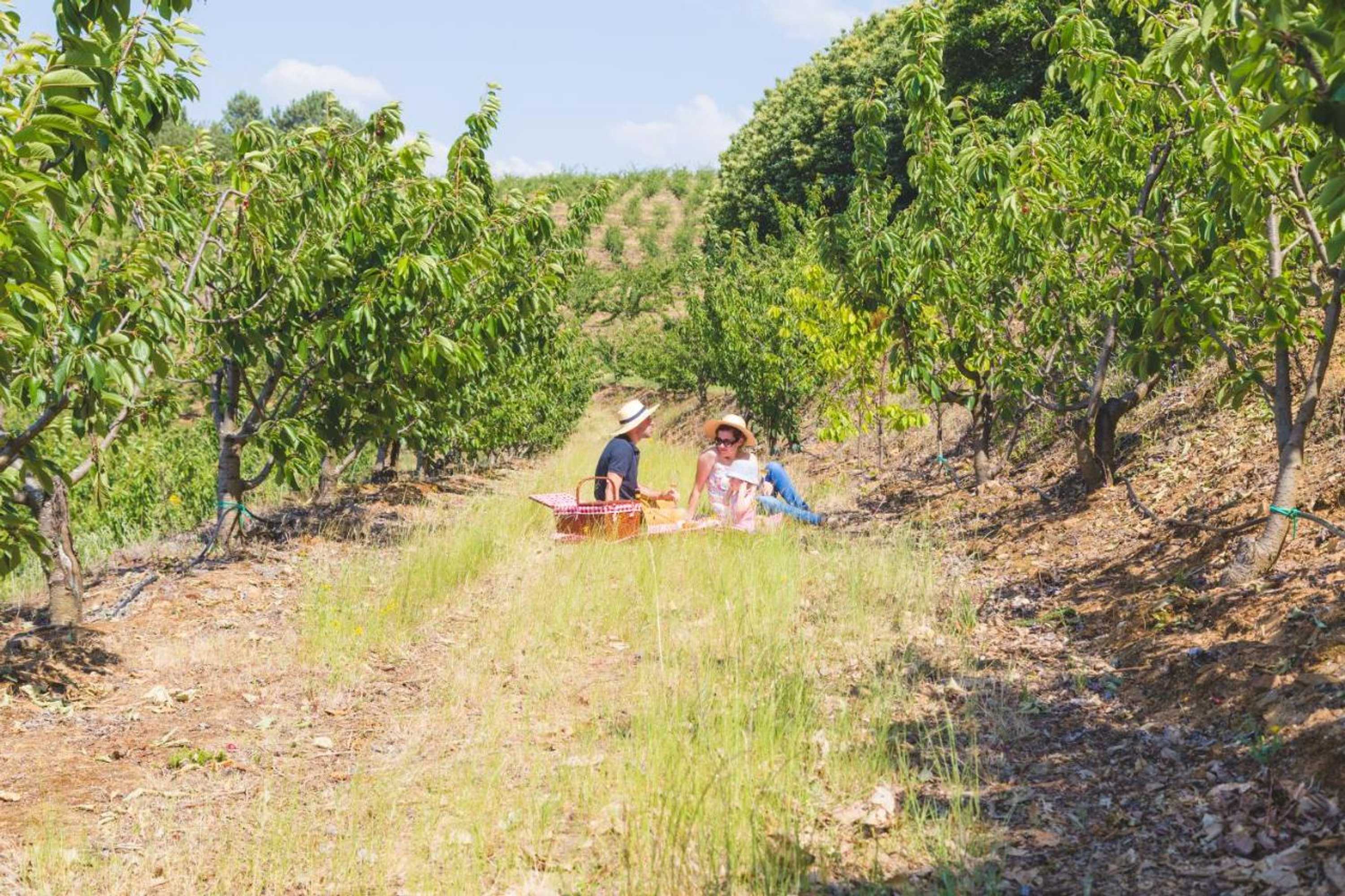 Gift card for Quinta da Barroca Douro Valley