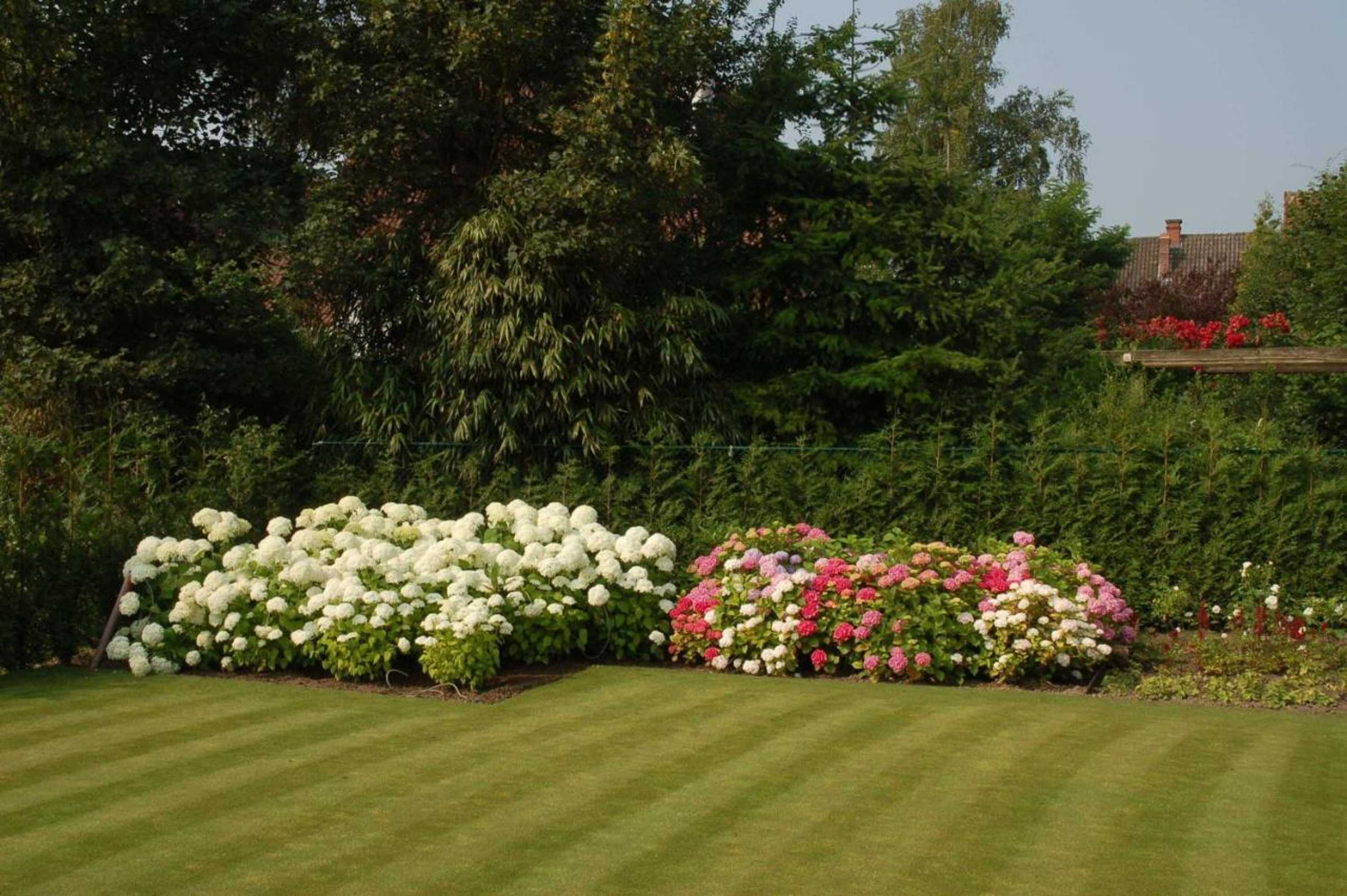 Gift card for B&b Bloemenweelde