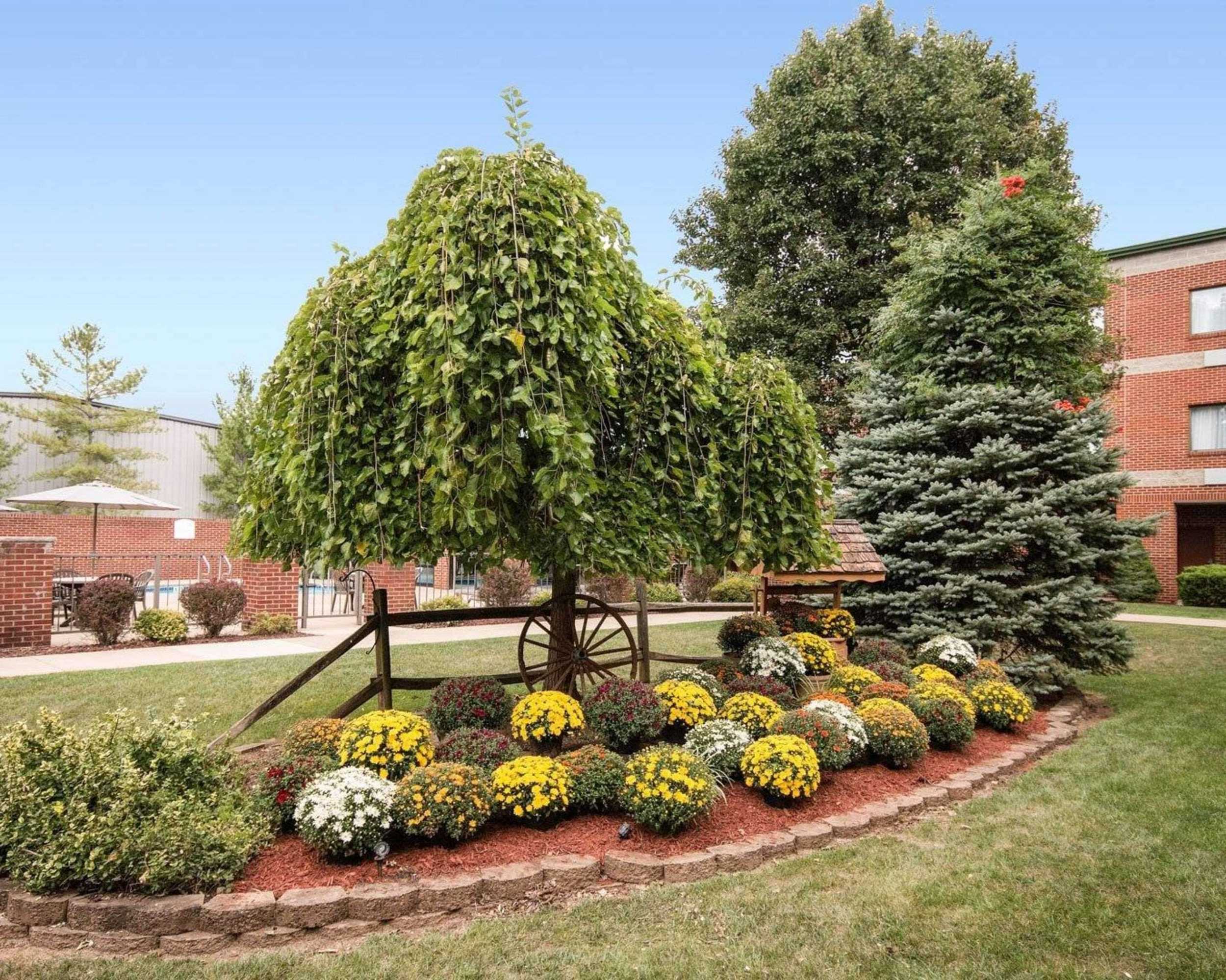 Gift card for Comfort Suites Parkersburg South Gift card for Comfort Suites Parkersburg South