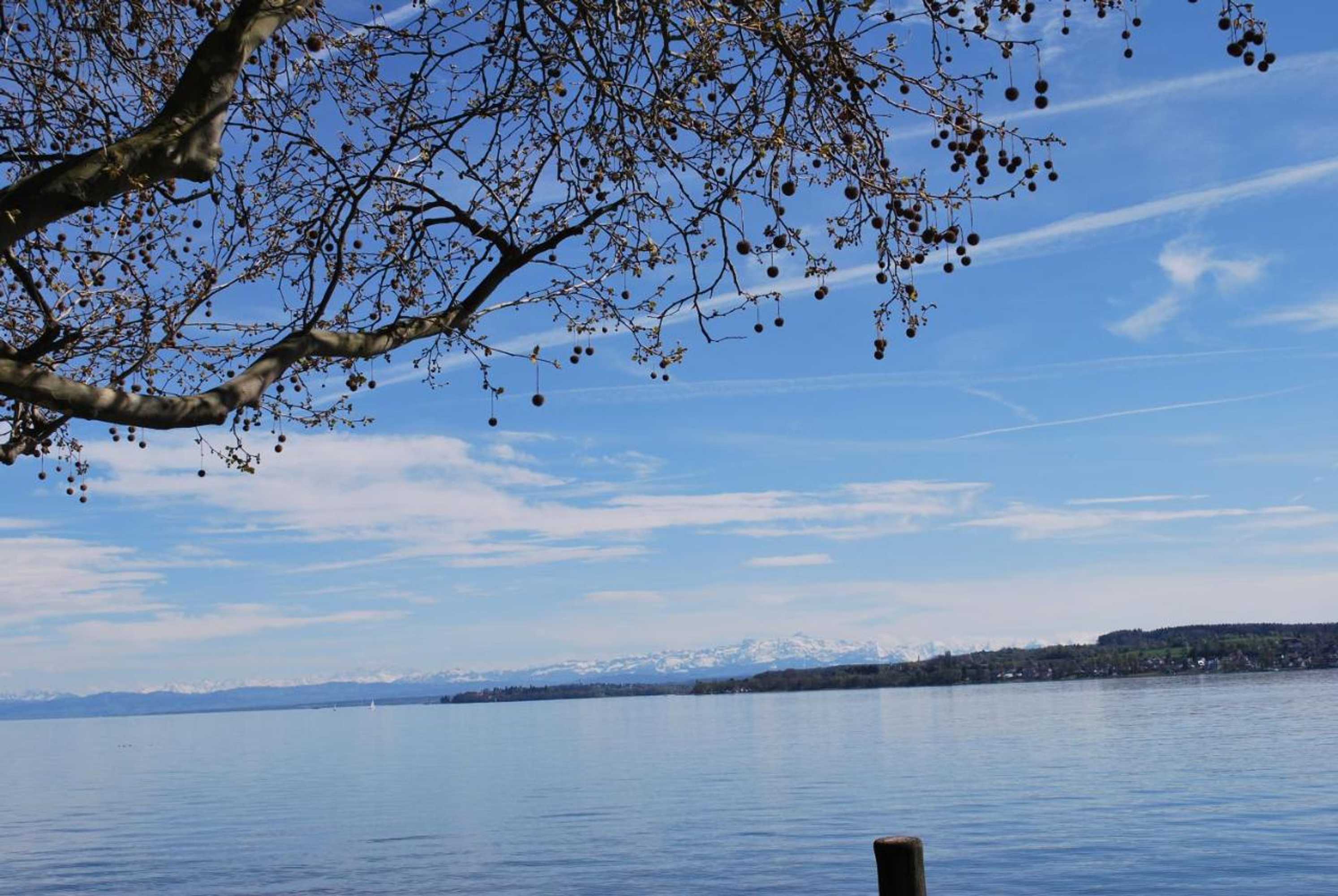 Gift card for Bürgerbräu