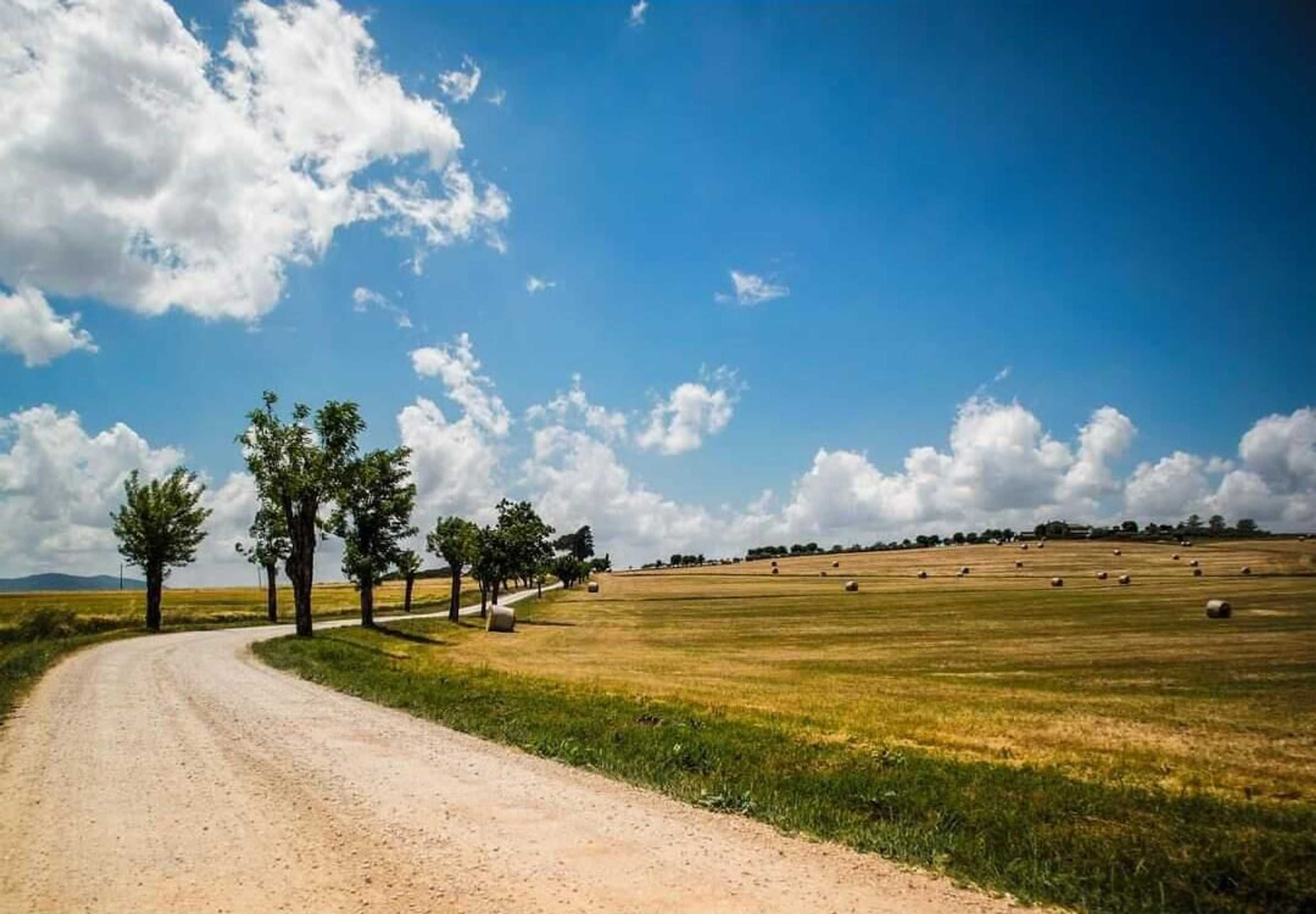 Gift card for Agriturismo La Polledrara Gift card for Agriturismo La Polledrara