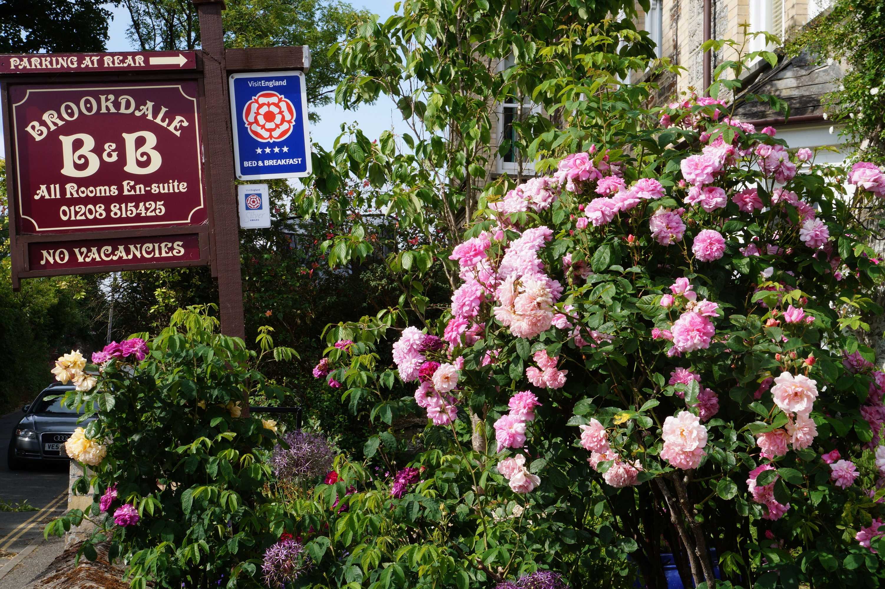 Gift card for Brookdale B&b