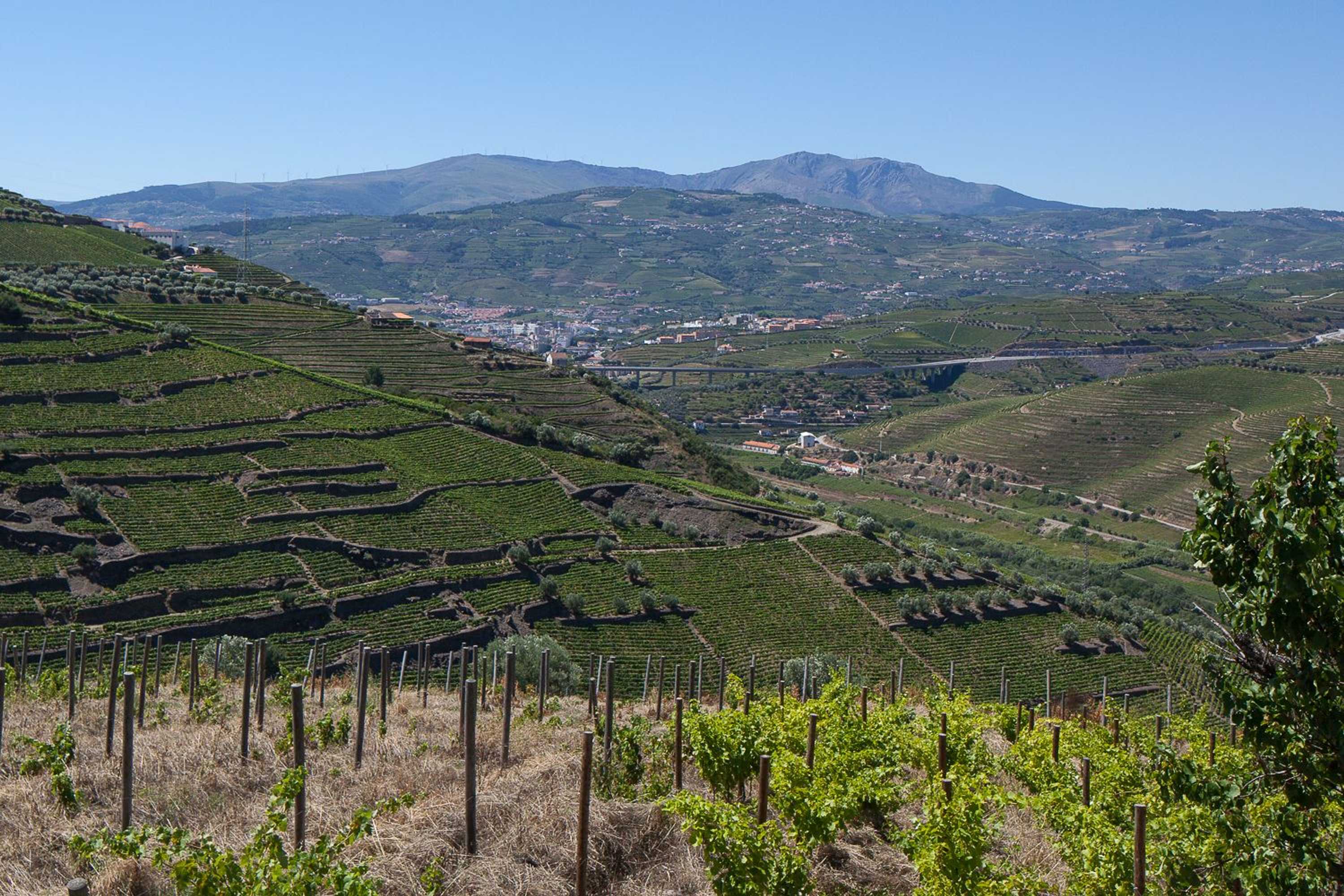 Gift card for Quinta de Casaldronho Wine Hotel Gift card for Quinta de Casaldronho Wine Hotel