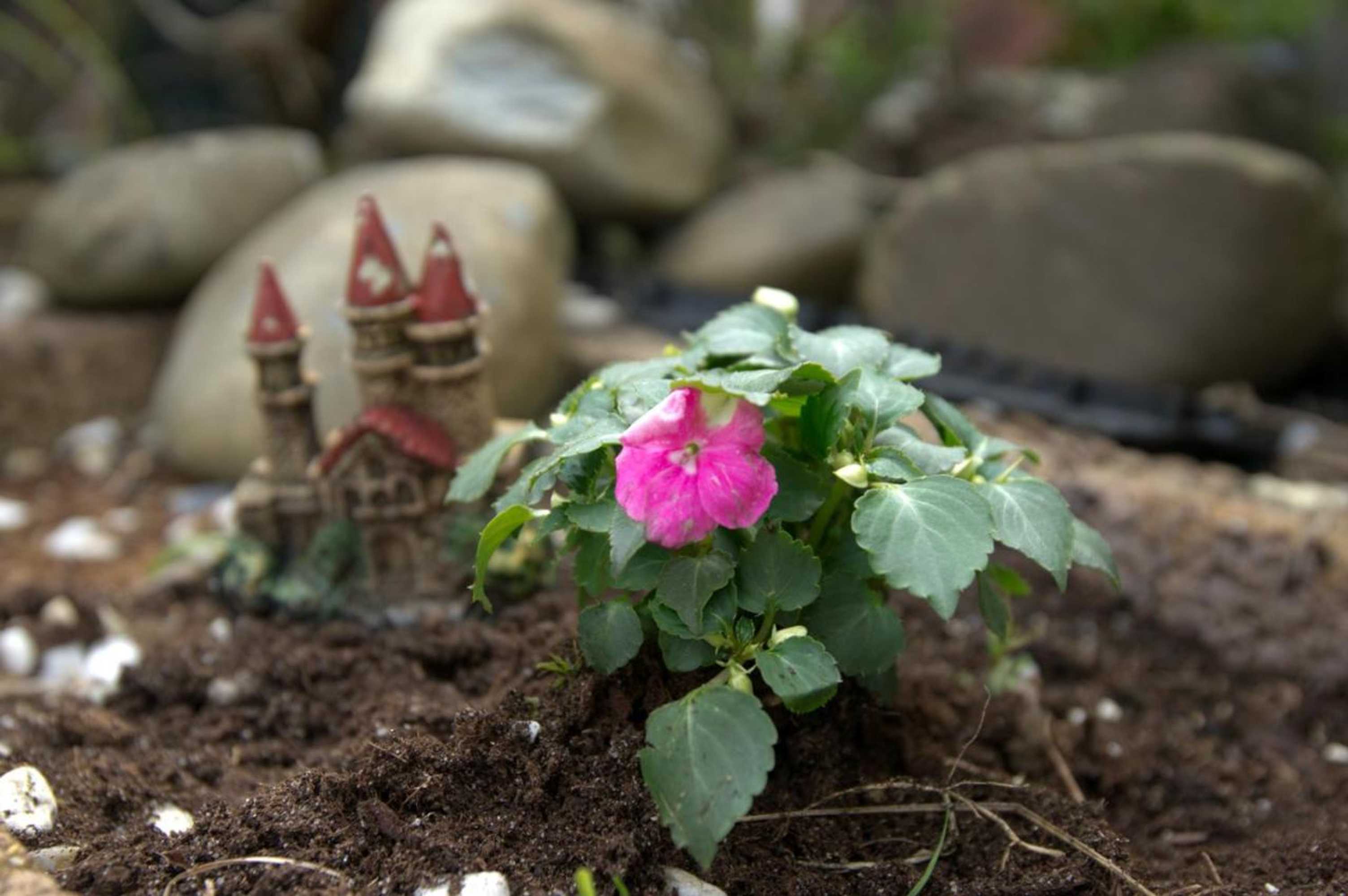 Gift card for B&b Posthoorn