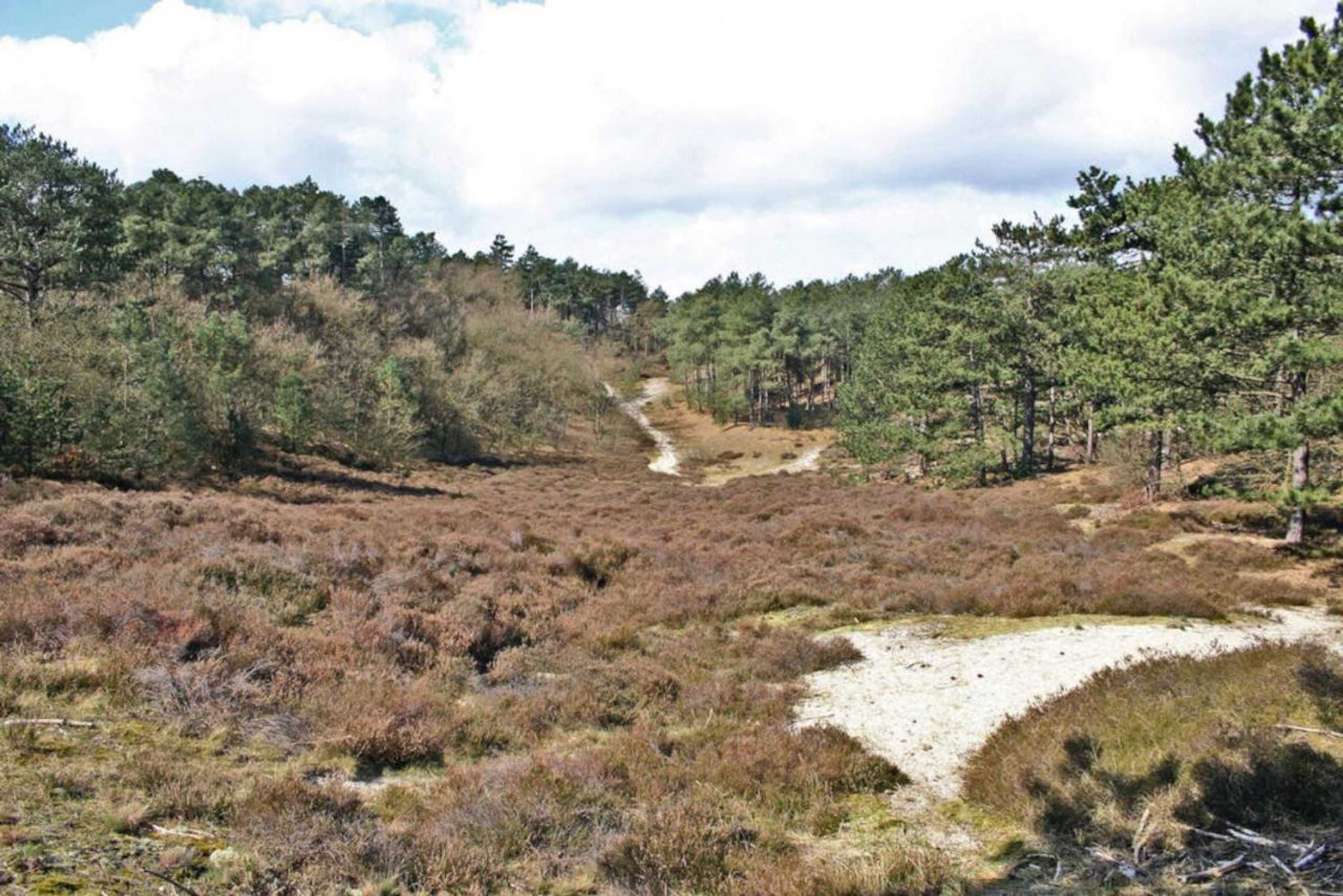 Gift card for Villa Prinsenhof # Eén