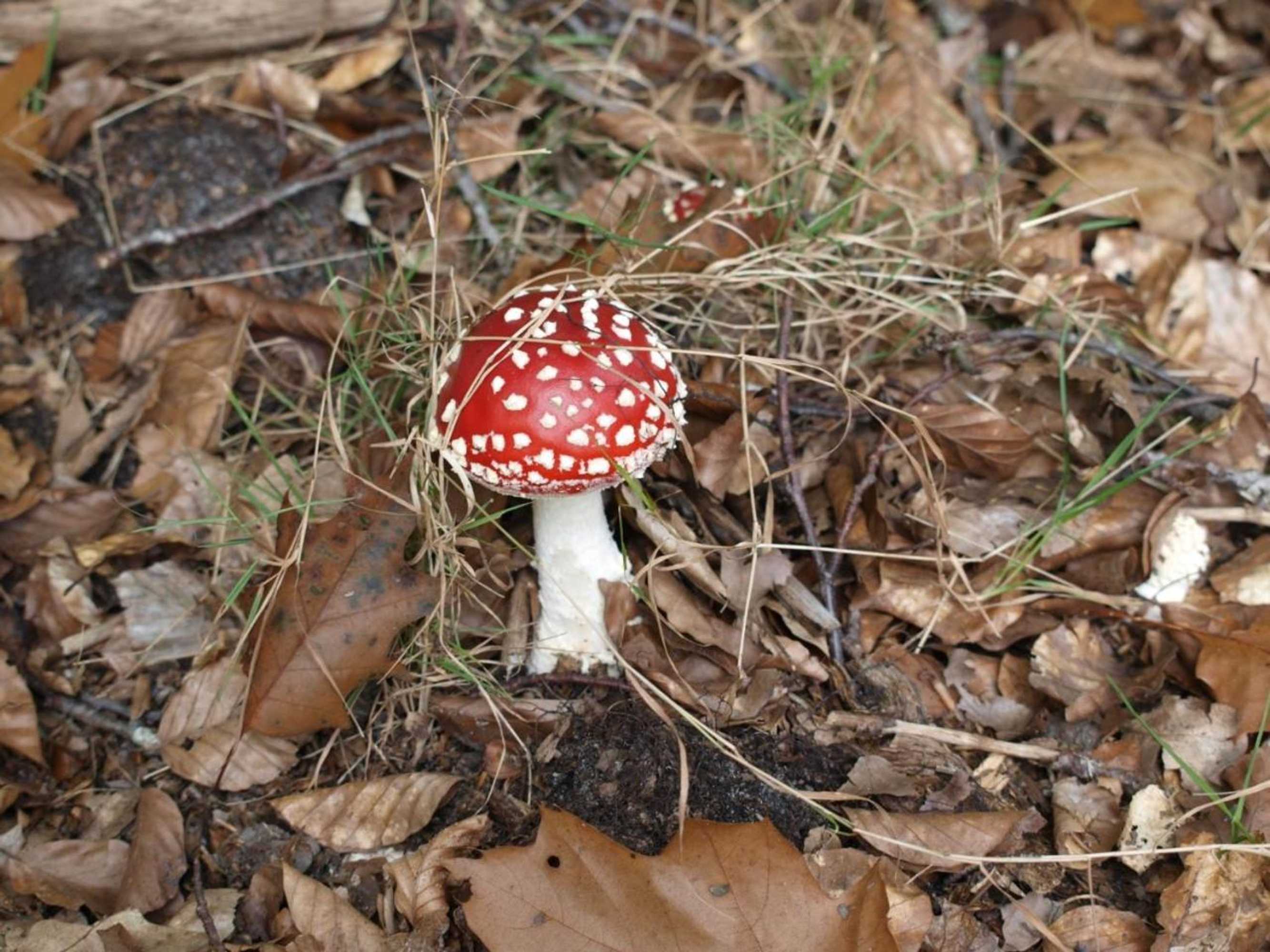 Gift card for Bed En - of Zonder - Breakfast Putten