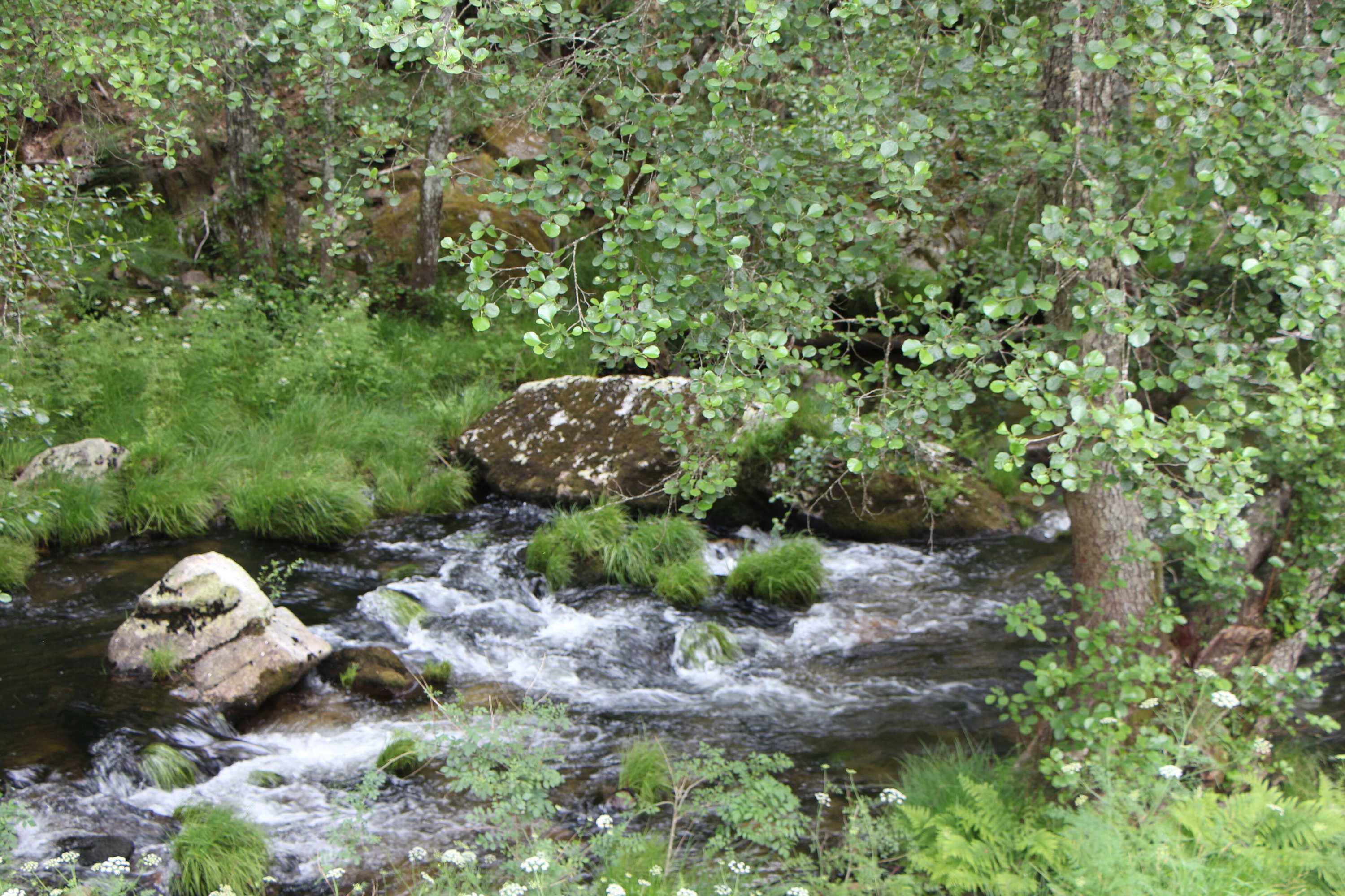 Gift card for Casa Moinho da Mouta Gift card for Casa Moinho da Mouta