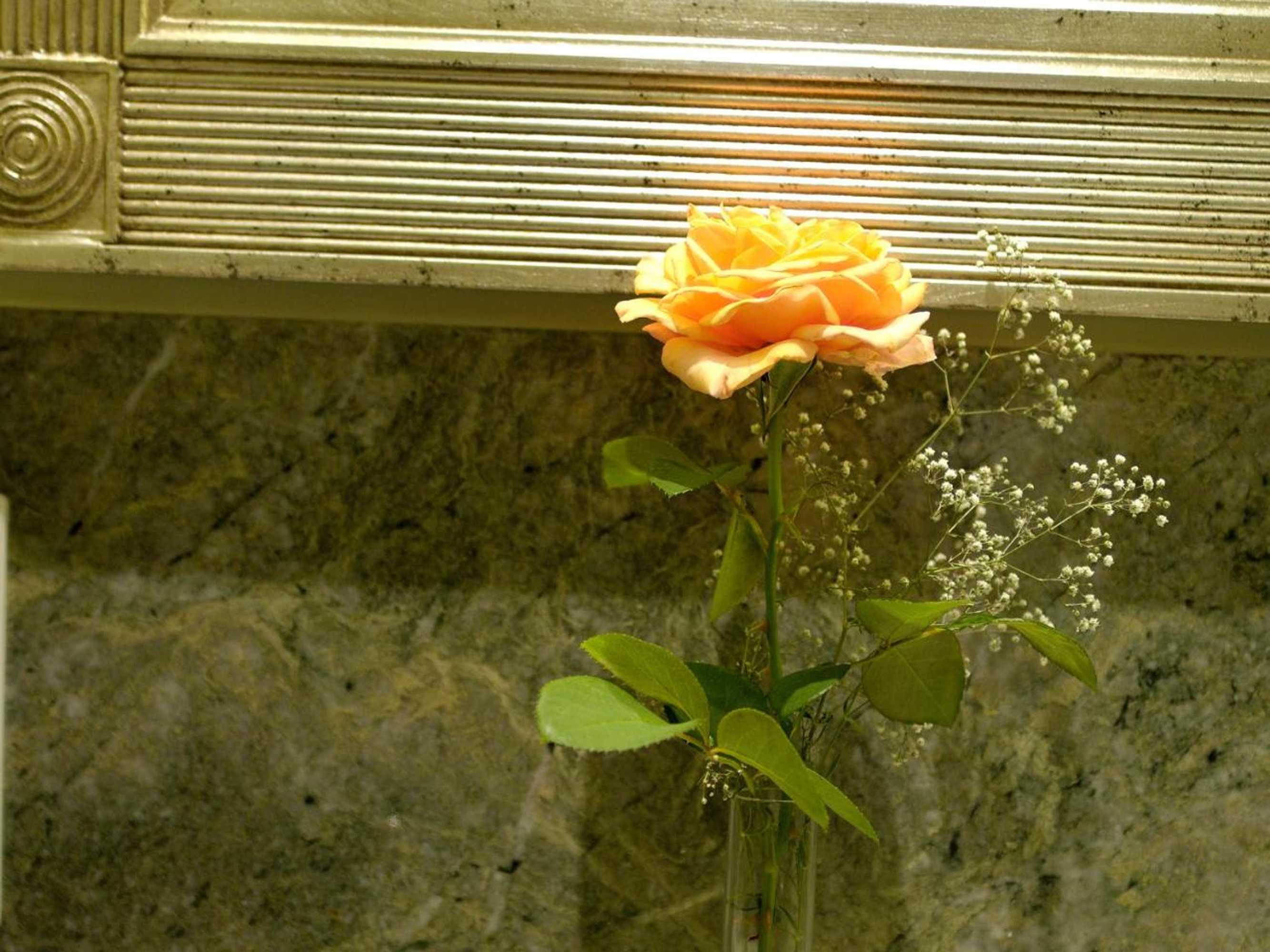 Gift card for Landhotel Zum Bären