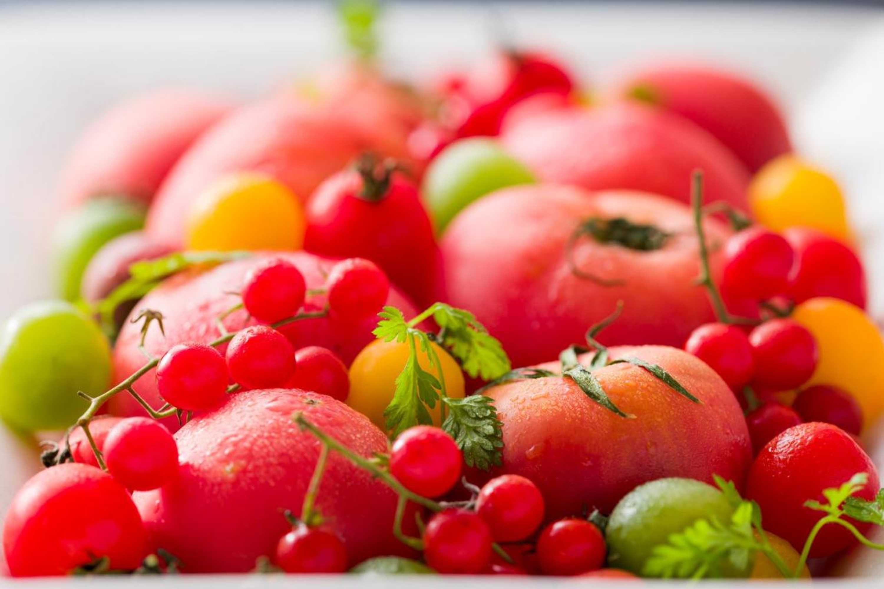 Gift card for Kyukamura Fuji