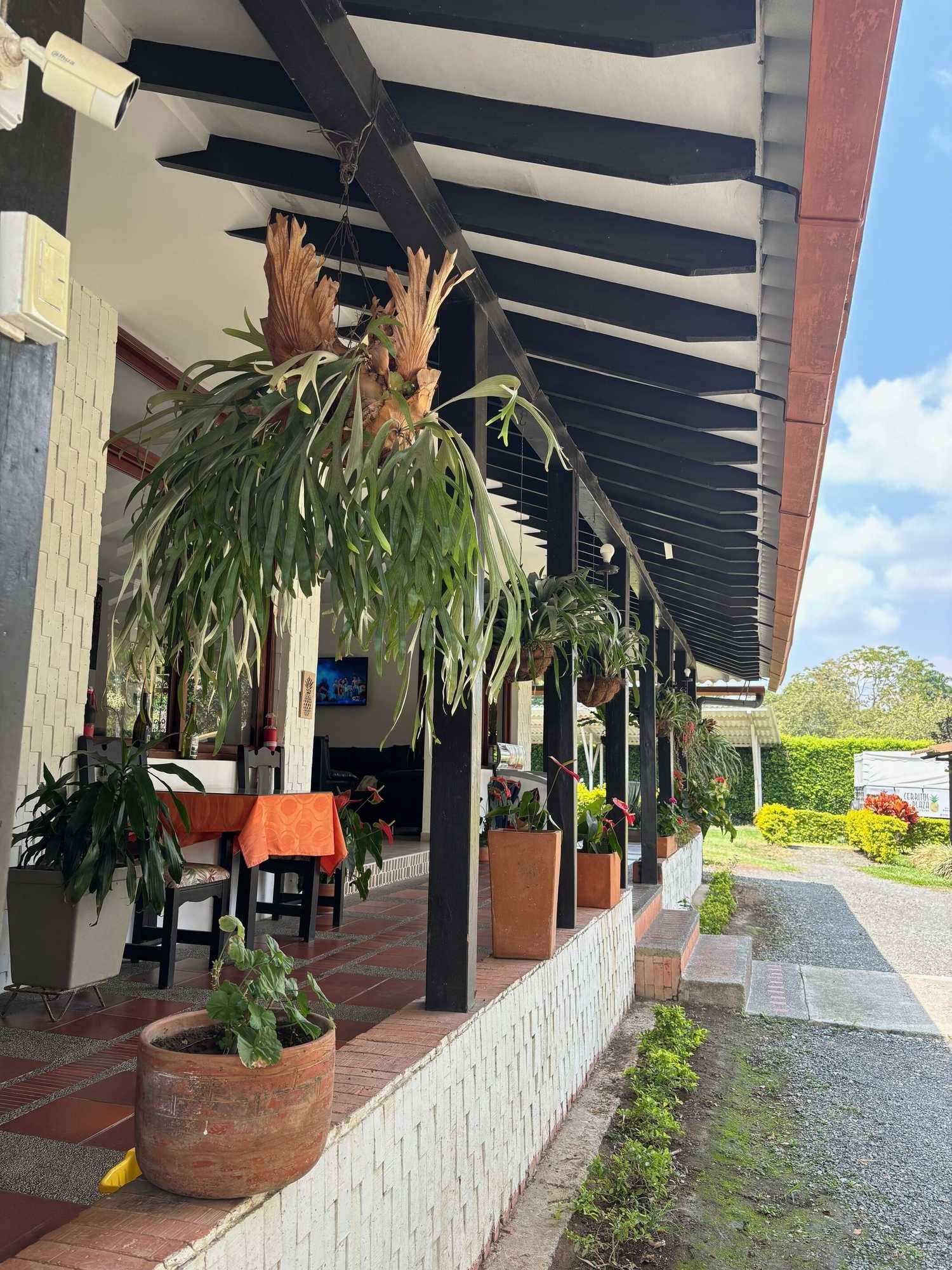Gift card for Finca Hotel Cerritos Plaza
