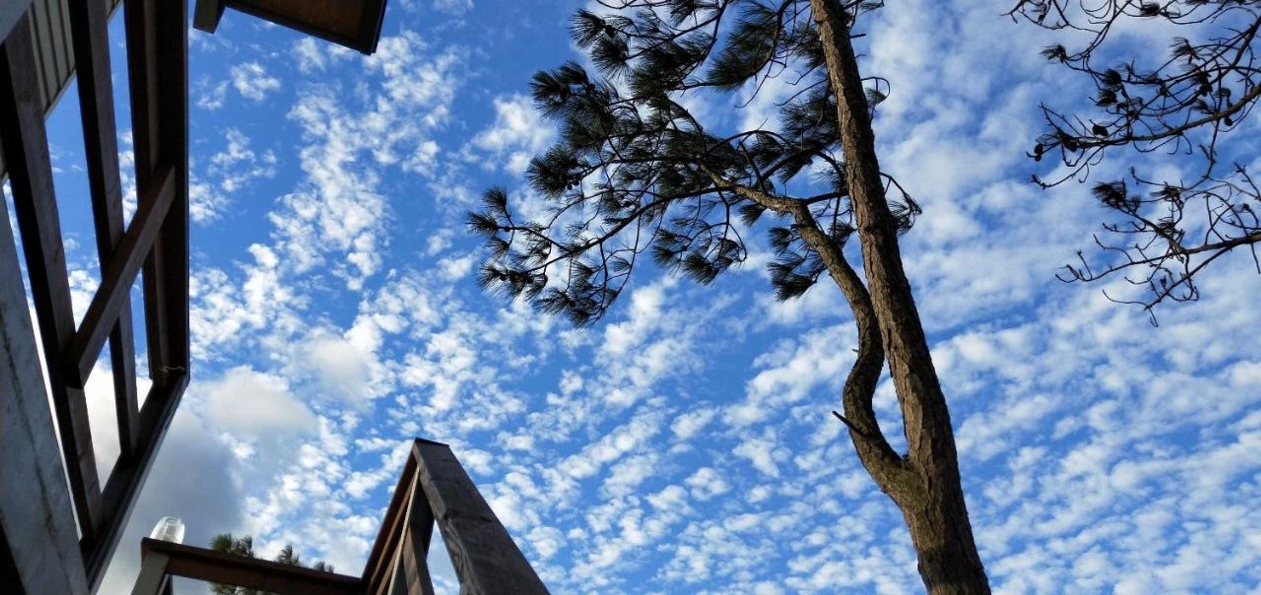 Gift card for Jeff Maker TW Homestay