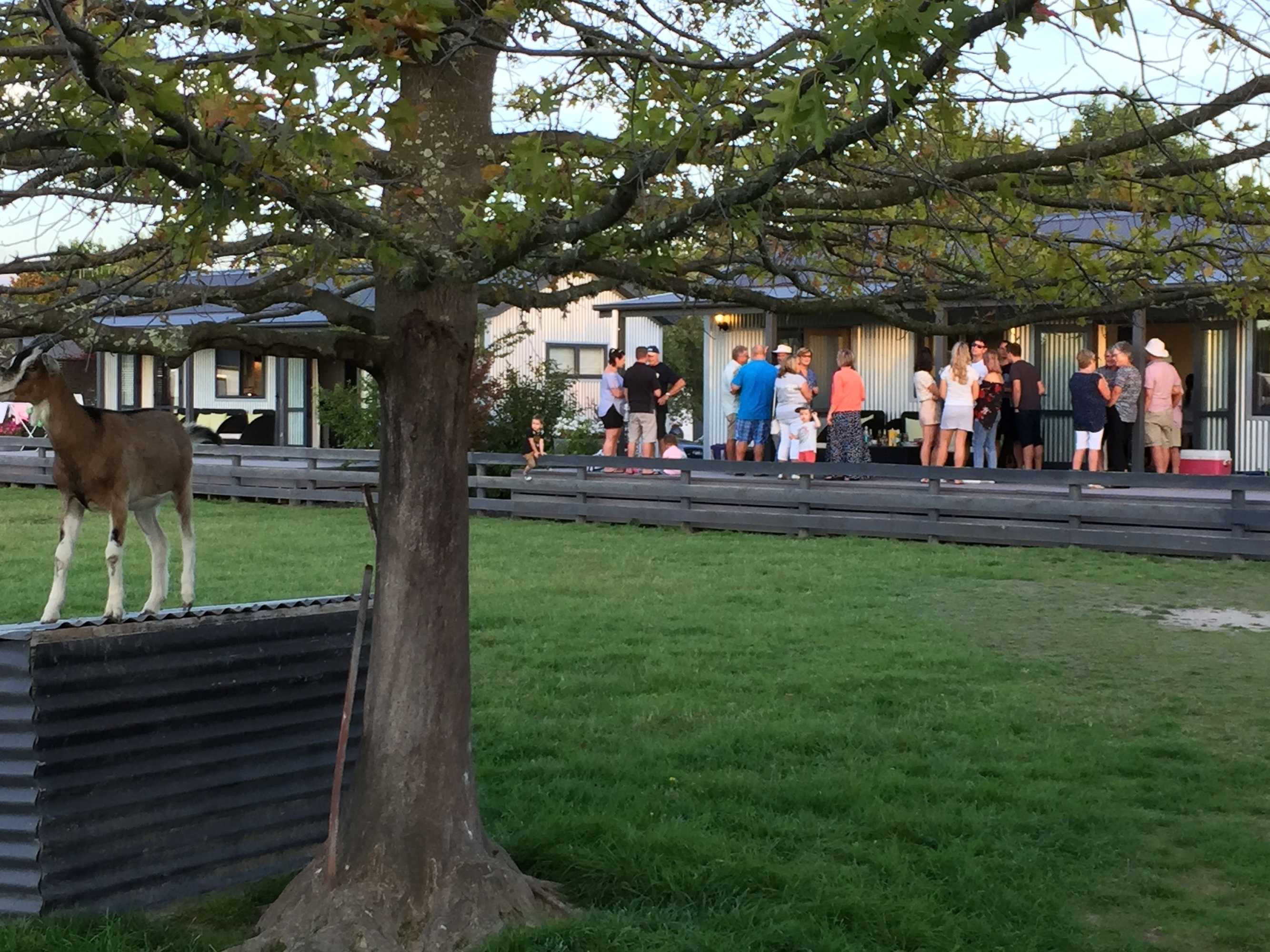 Gift card for Cottages on St Andrews