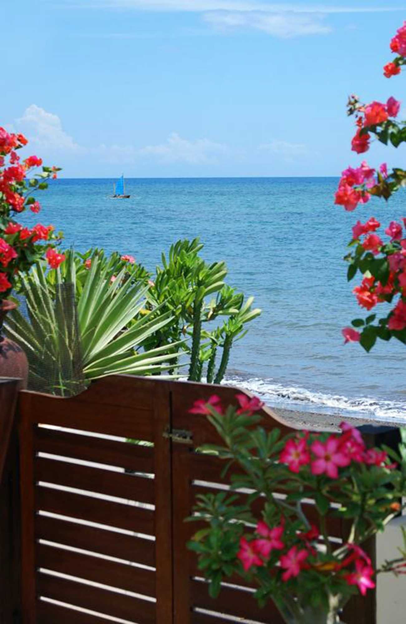 Gift card for Frangipani Beach Hotel Gift card for Frangipani Beach Hotel
