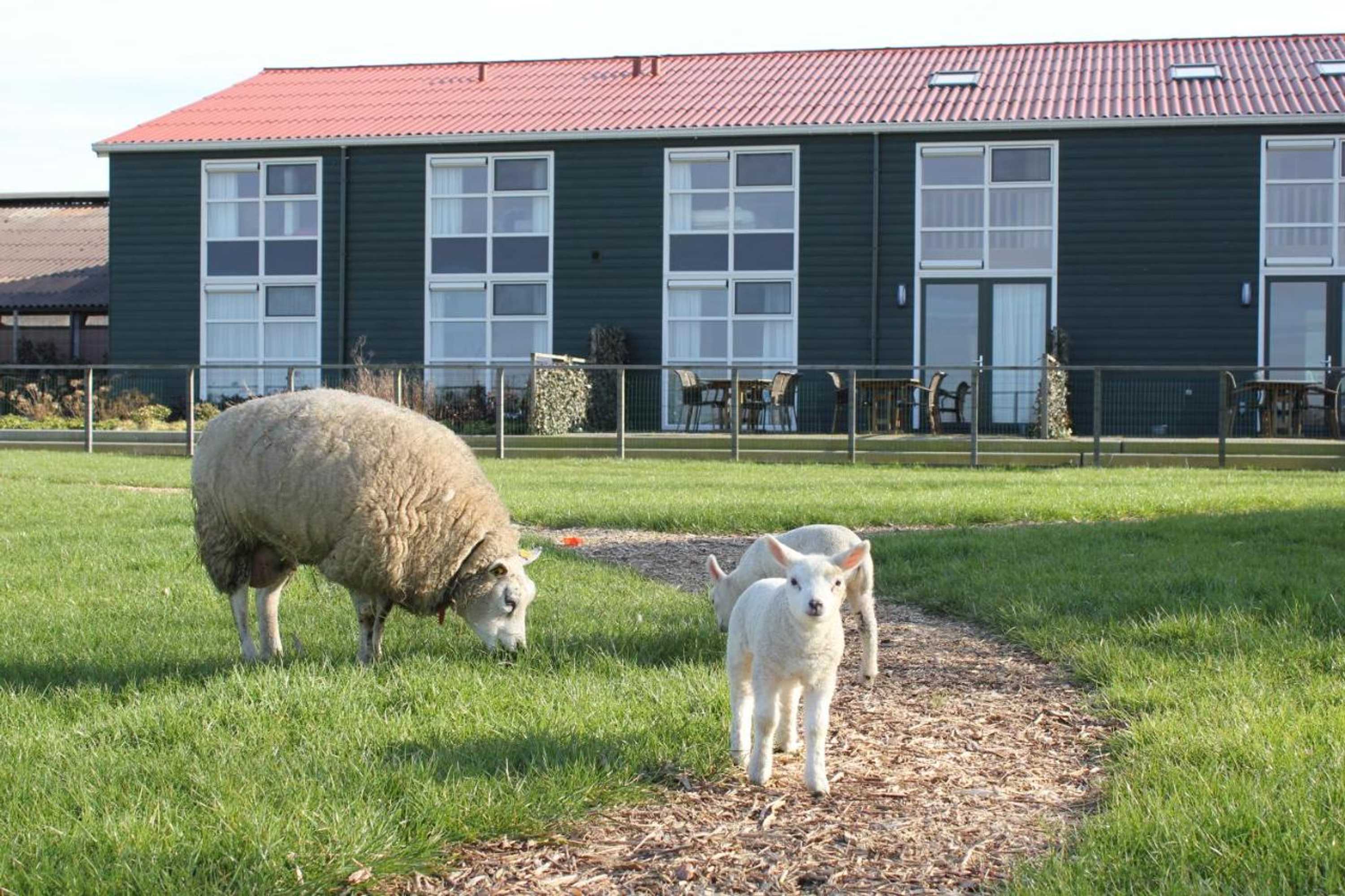 Gift card for Newhouse Logies