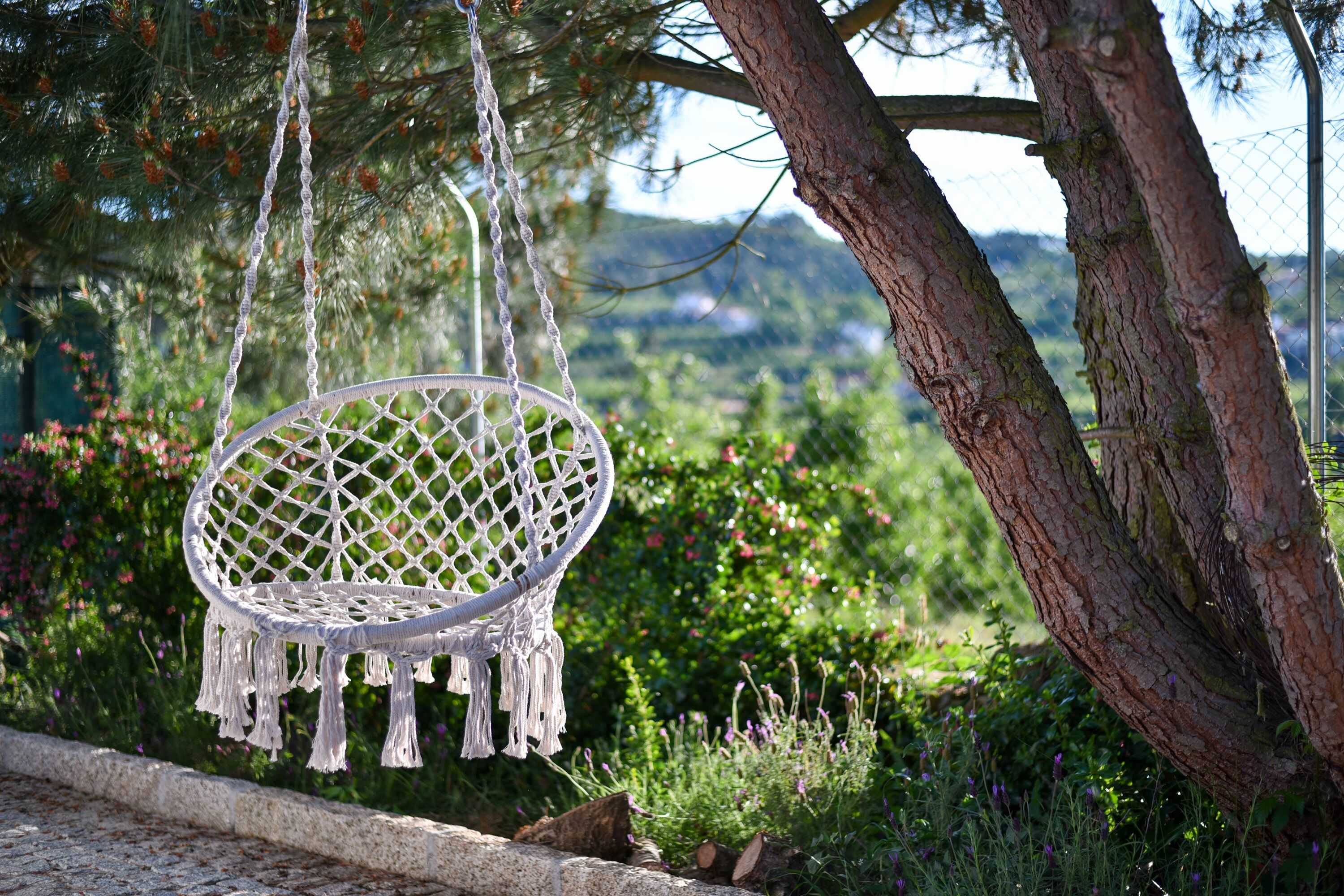 Gift card for Feel Discovery Maçã Douro