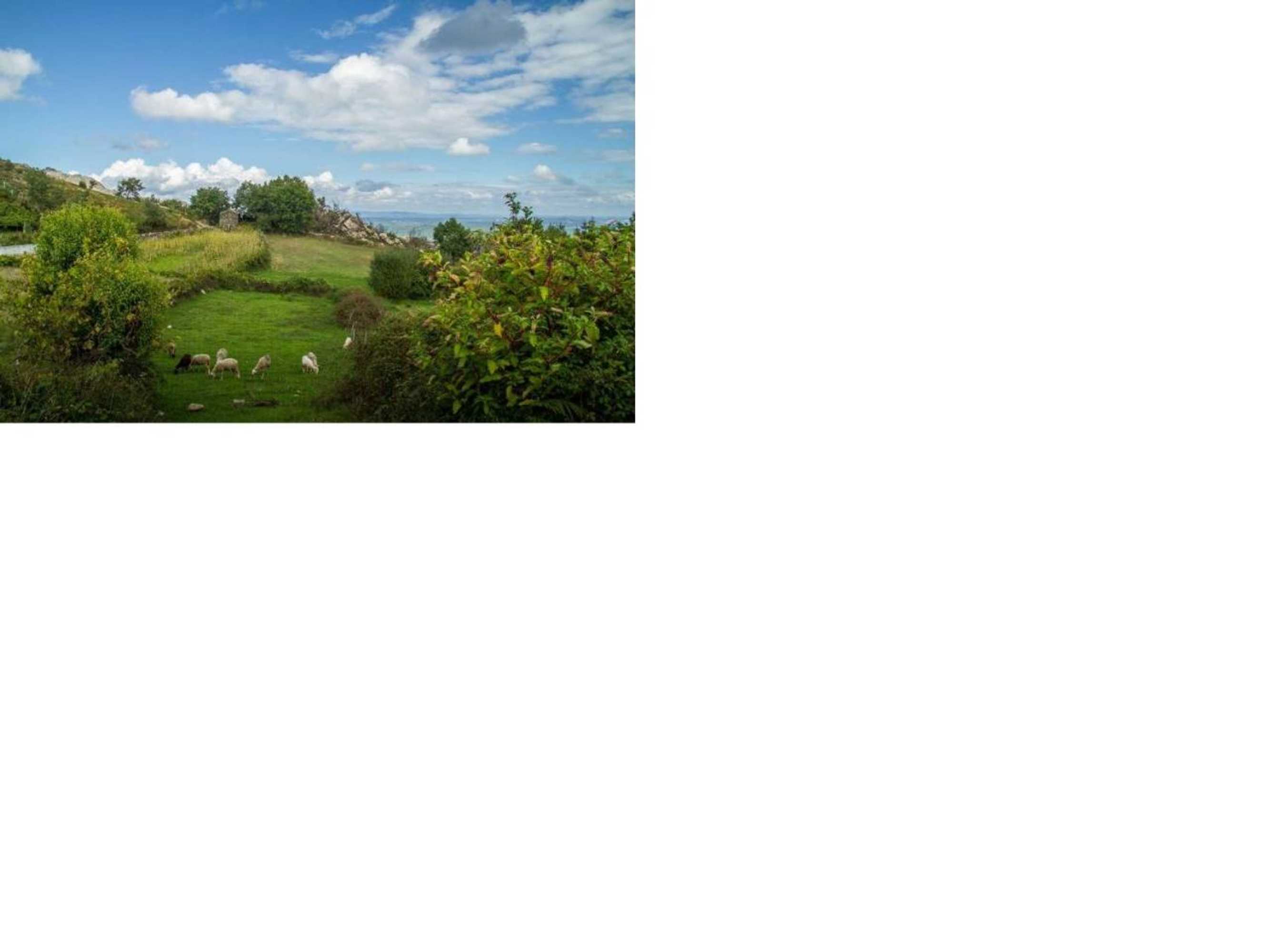 Gift card for Isatour Casa na Serra