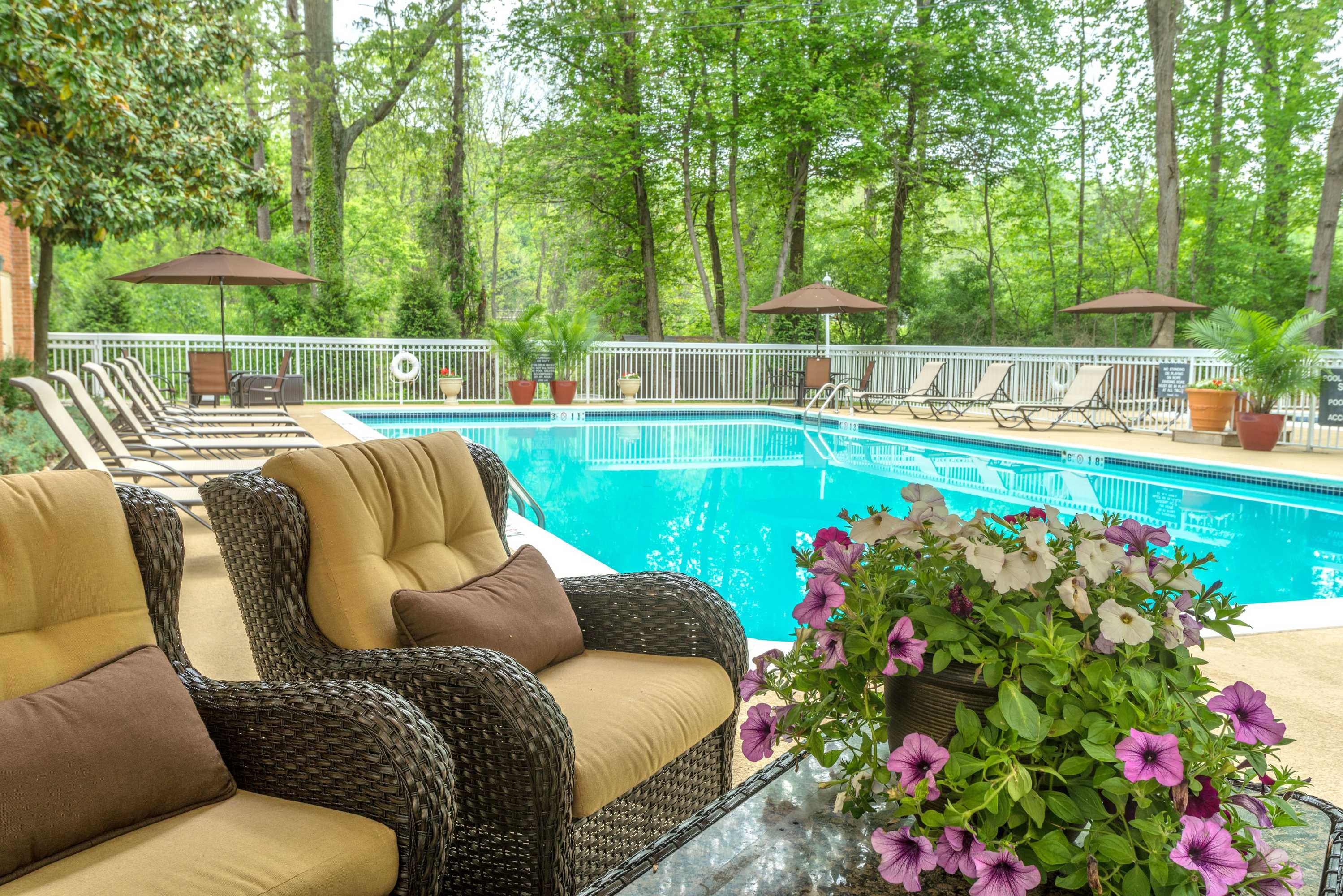 Gift card for Holiday Inn Charlottesville-Monticello by Ihg Gift card for Holiday Inn Charlottesville-Monticello by Ihg