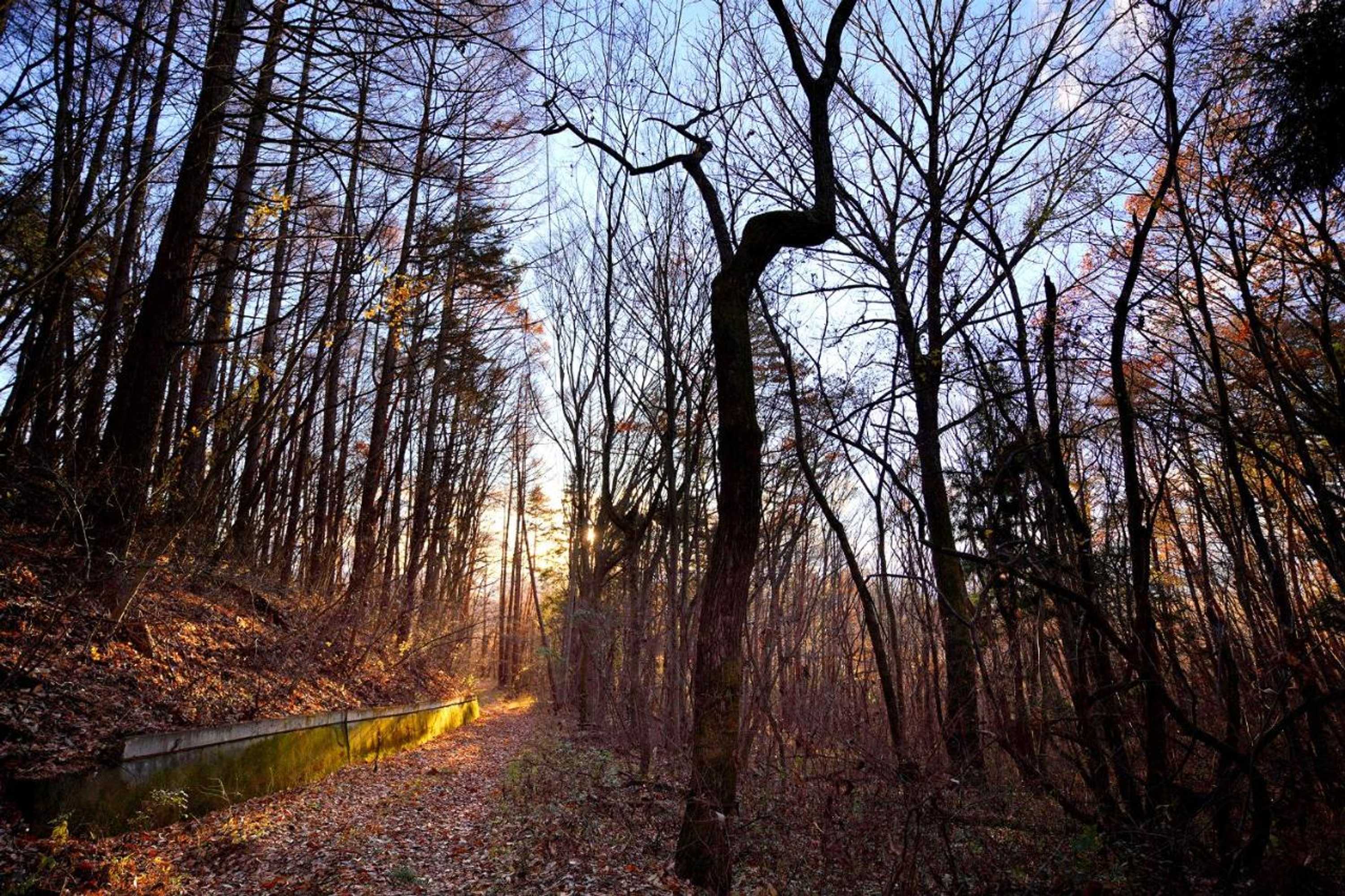 Gift card for Hutte Lied