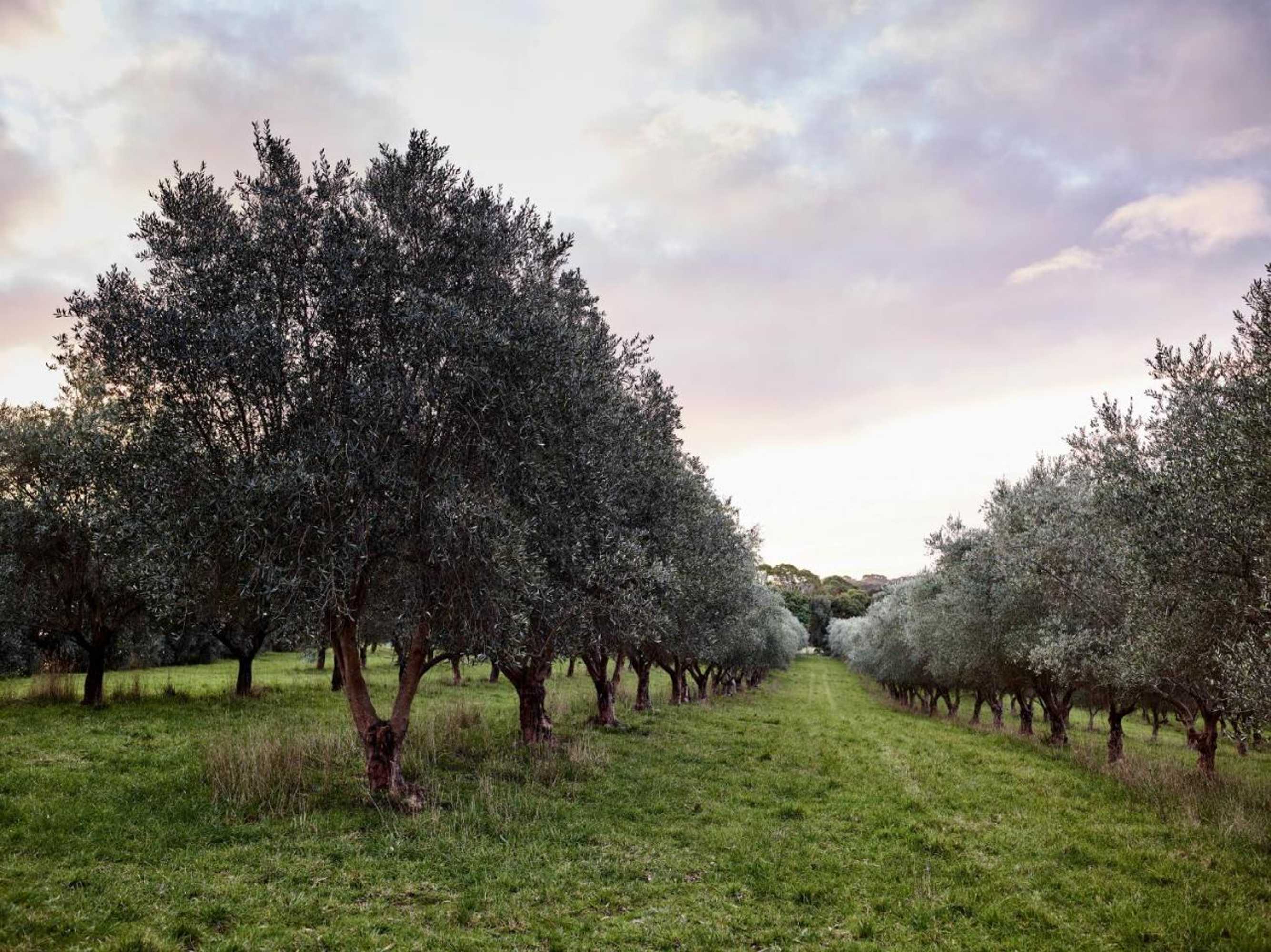 Gift card for Hart's Farm