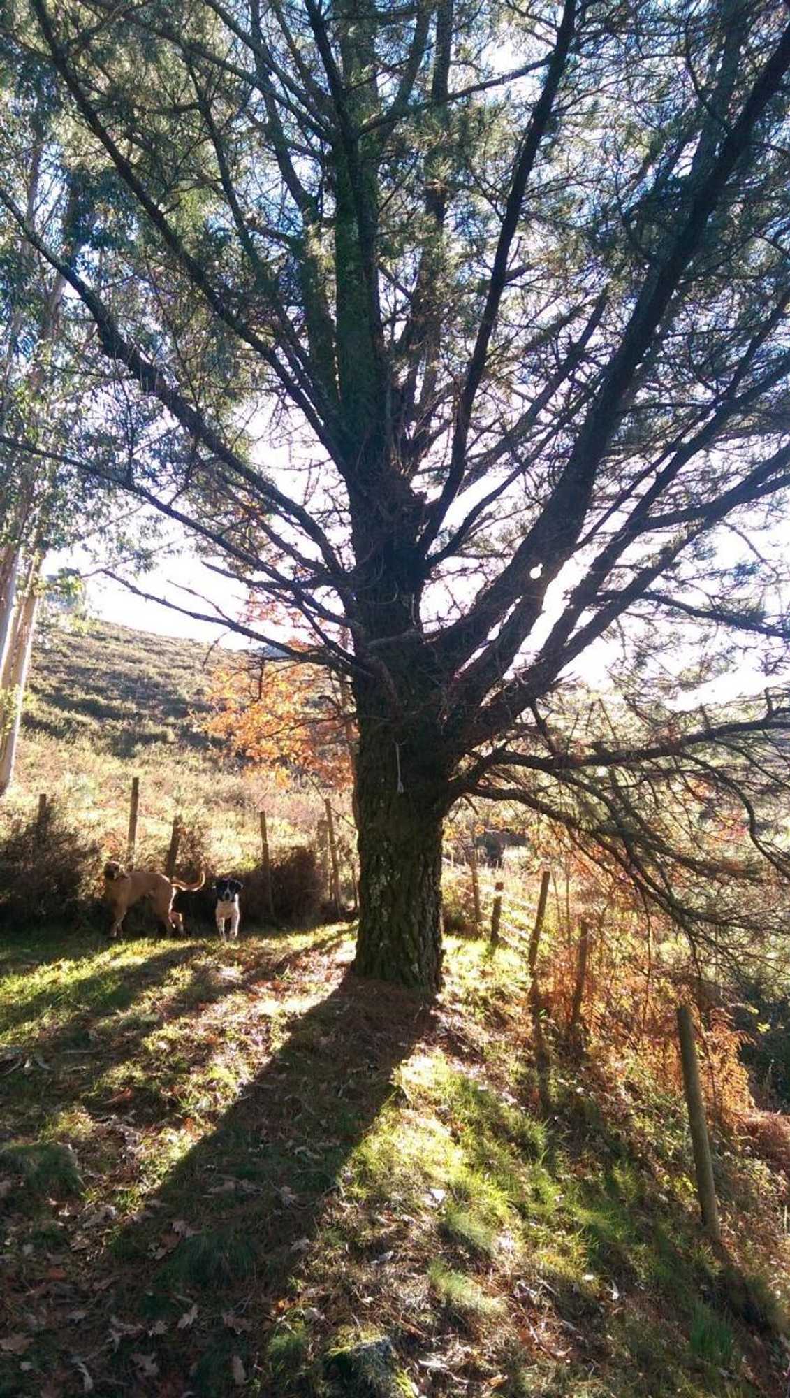 Gift card for Secret do Gerês