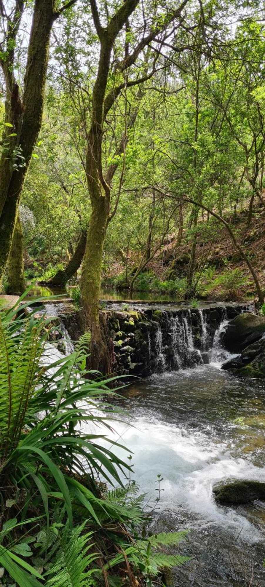 Gift card for Moleiro da Costa Má