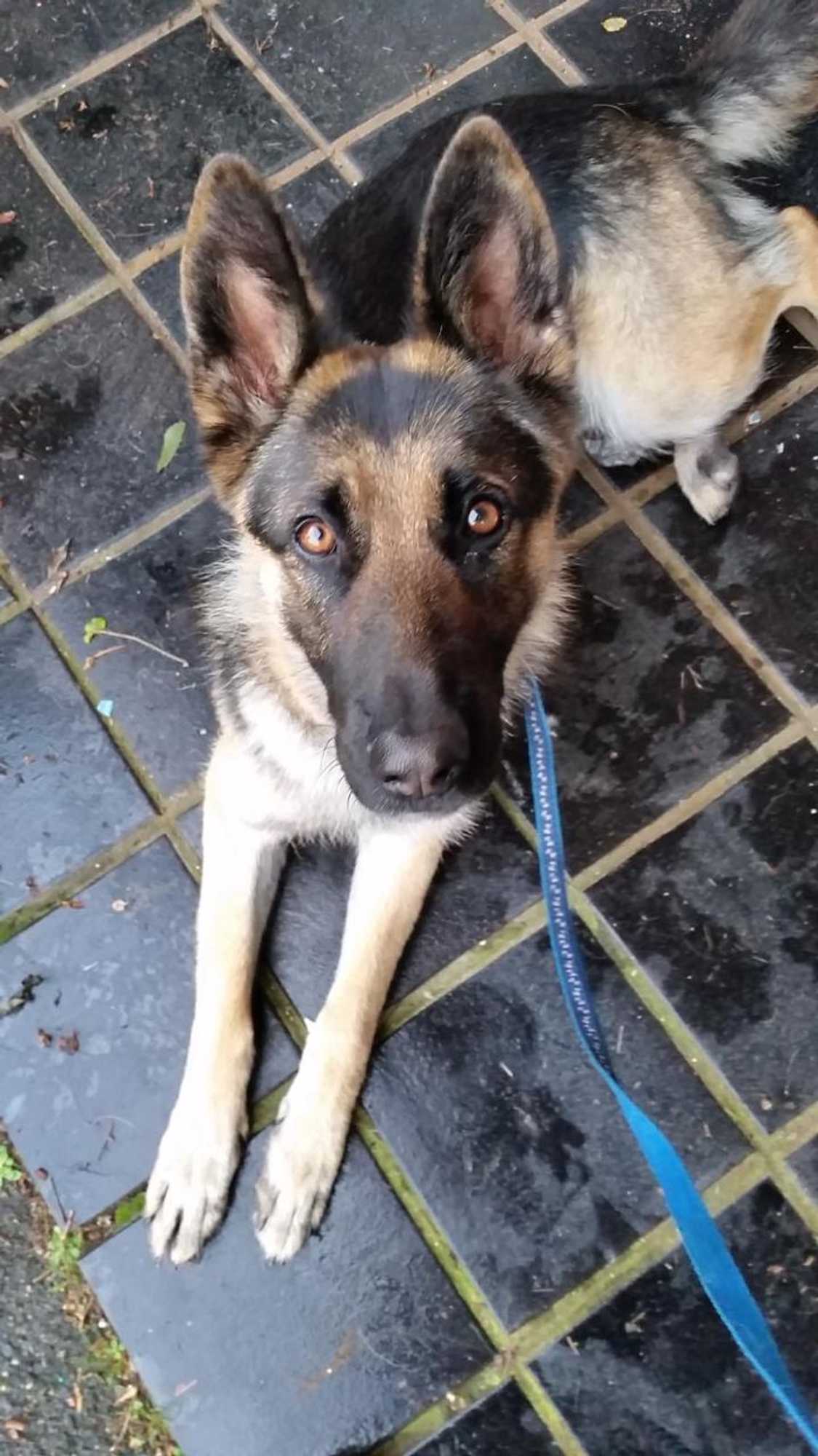 Gift card for Heavenly Farm B & B Tasmania