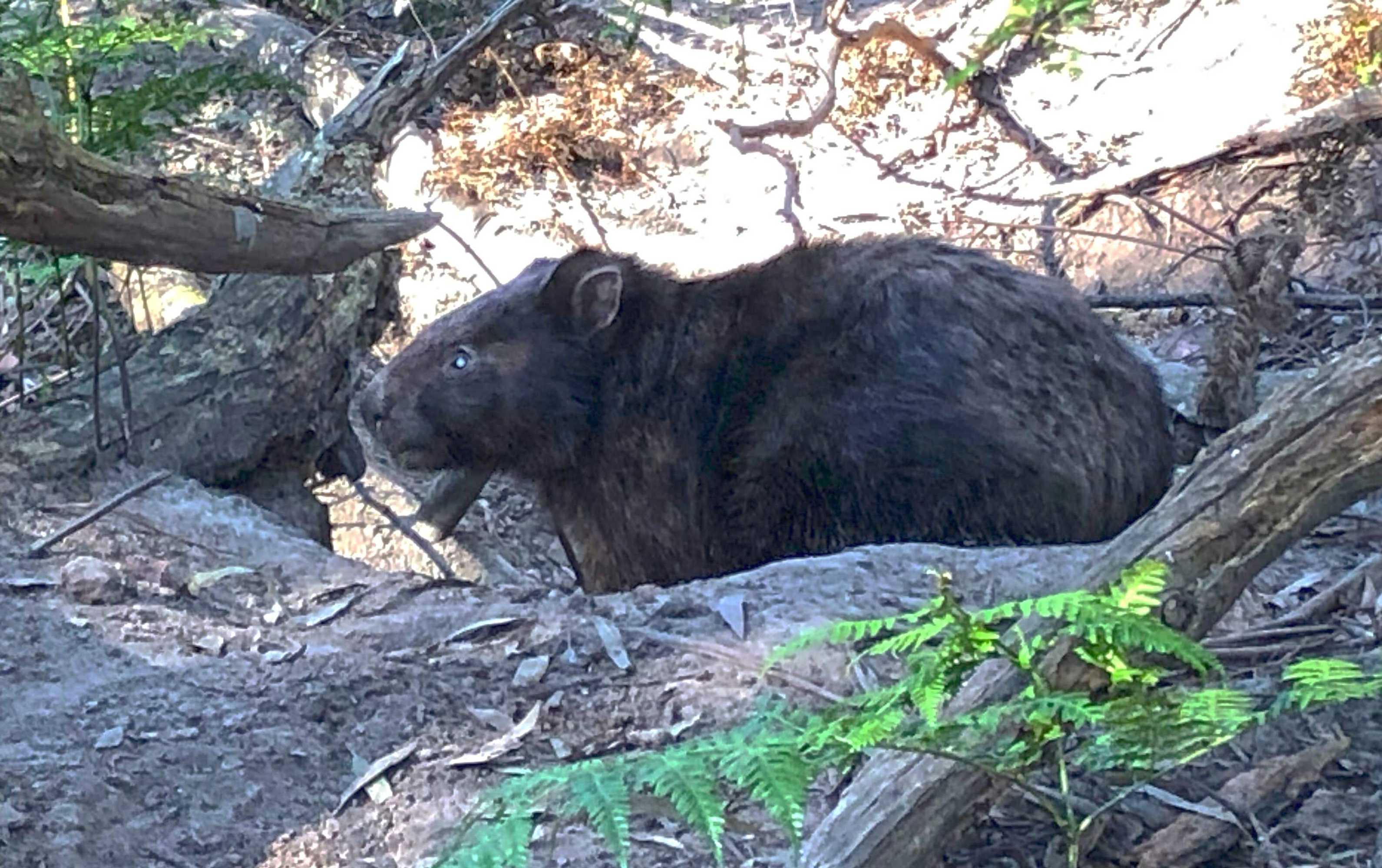 Gift card for Valley Farm Vineyard Villas