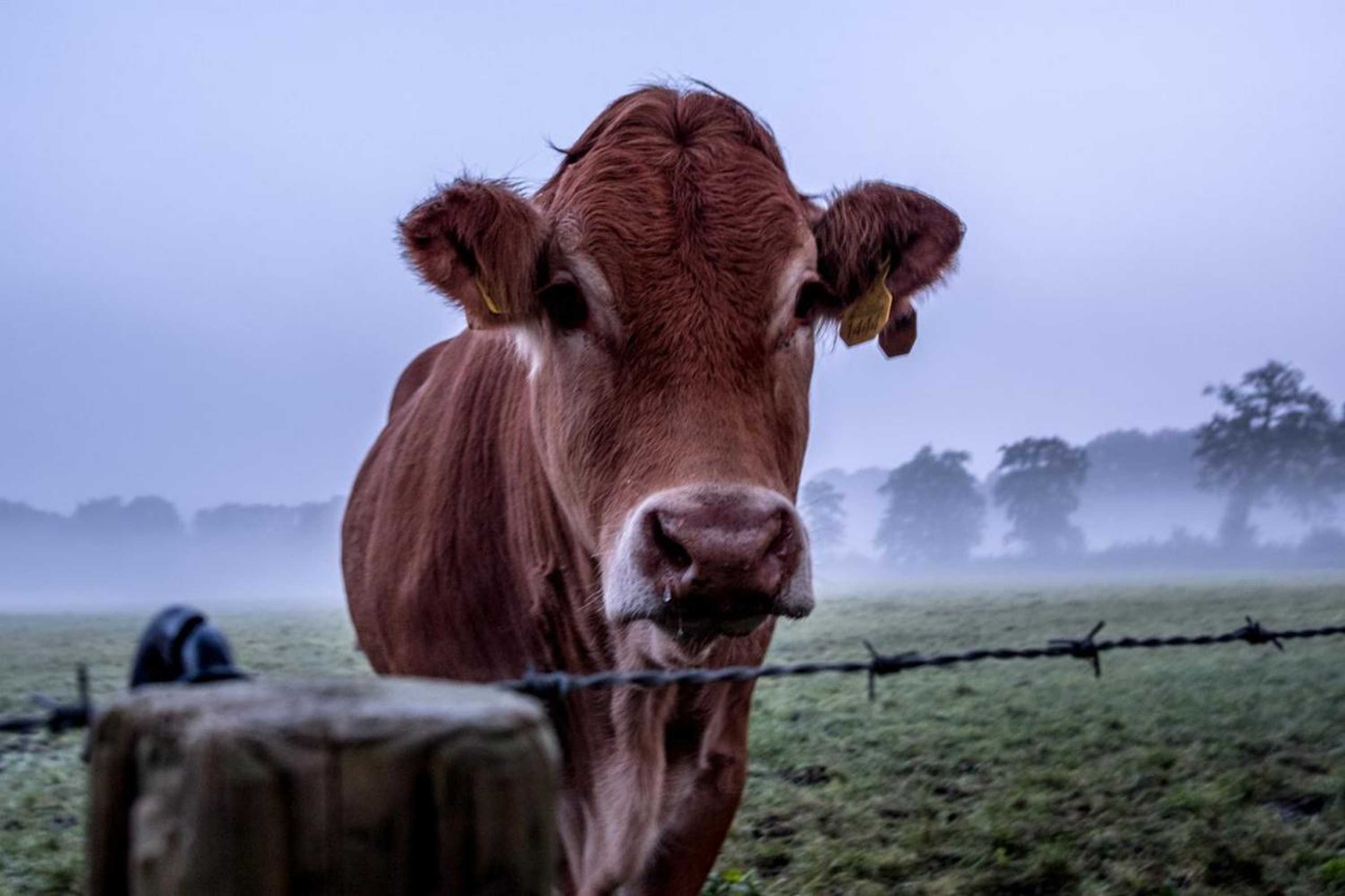 Gift card for Het Findament Tiny House