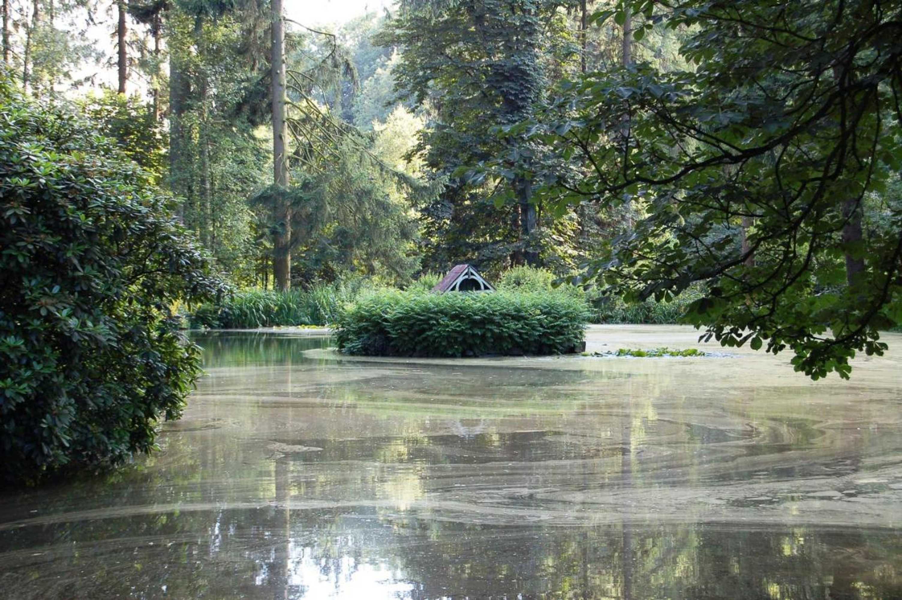 Gift card for Hotel Haus Koppelberg