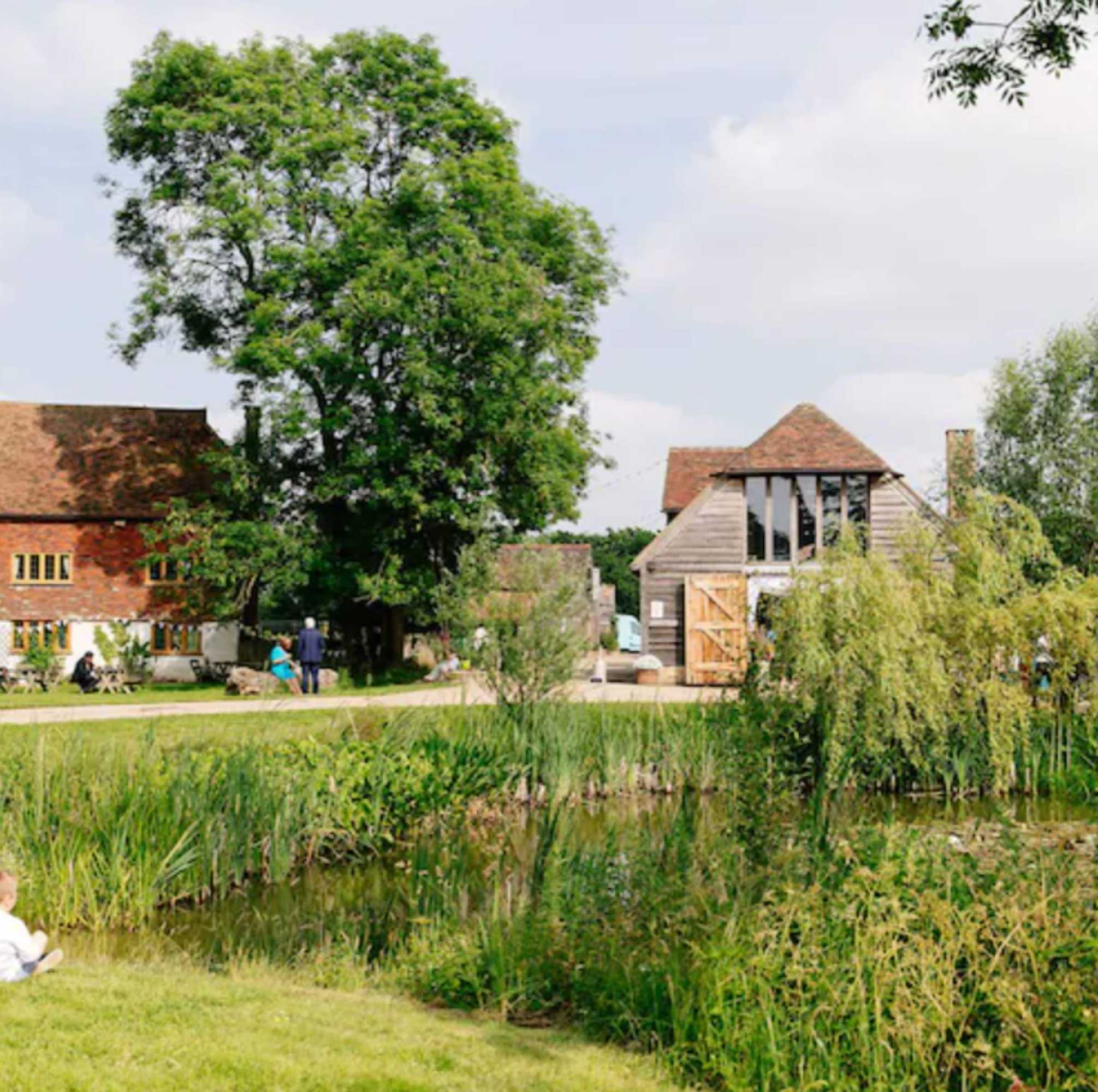 Gift card for Yoghurt Rooms