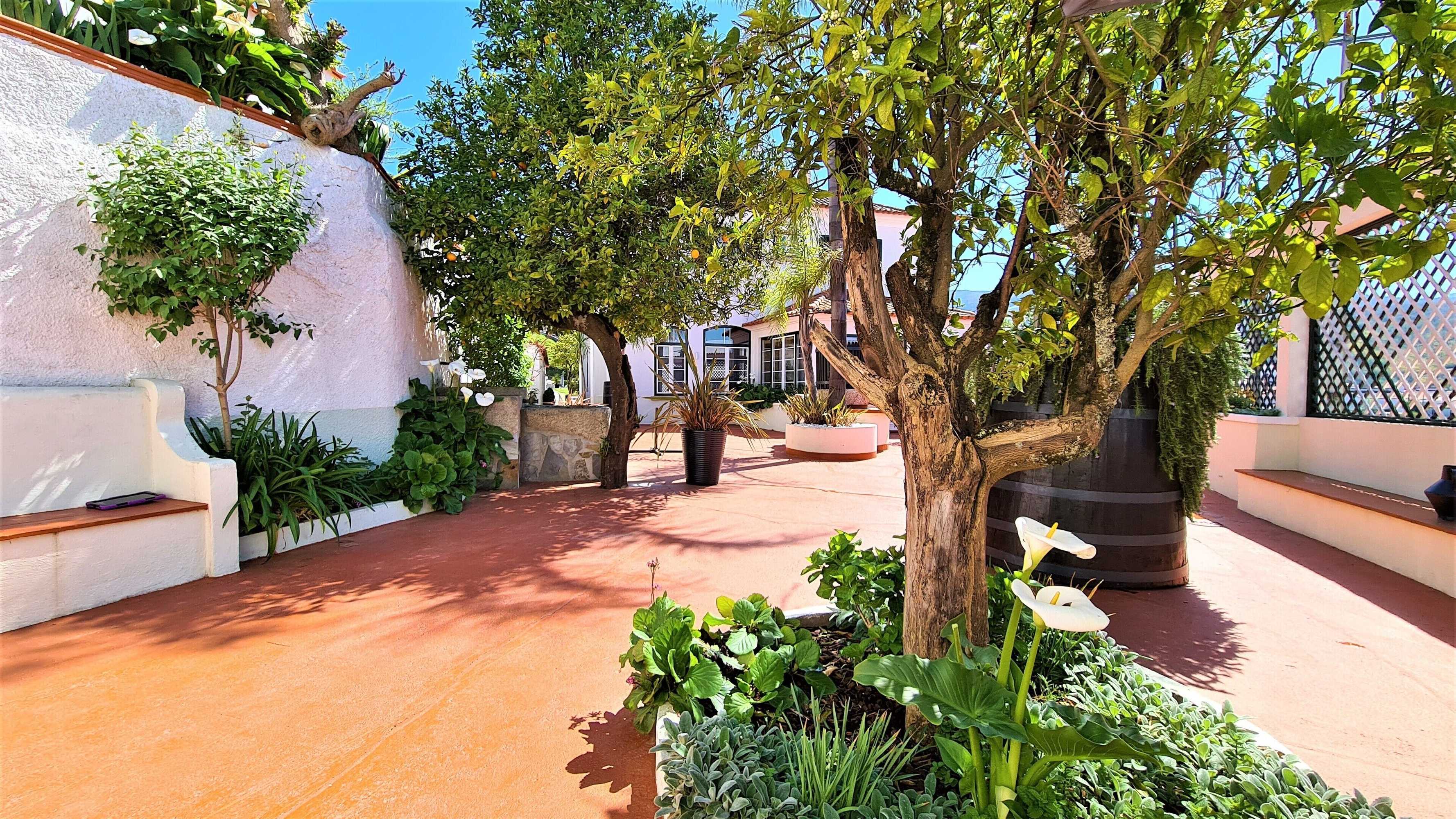 Gift card for Quinta da Palmeira - Country House Retreat & Spa Gift card for Quinta da Palmeira - Country House Retreat & Spa