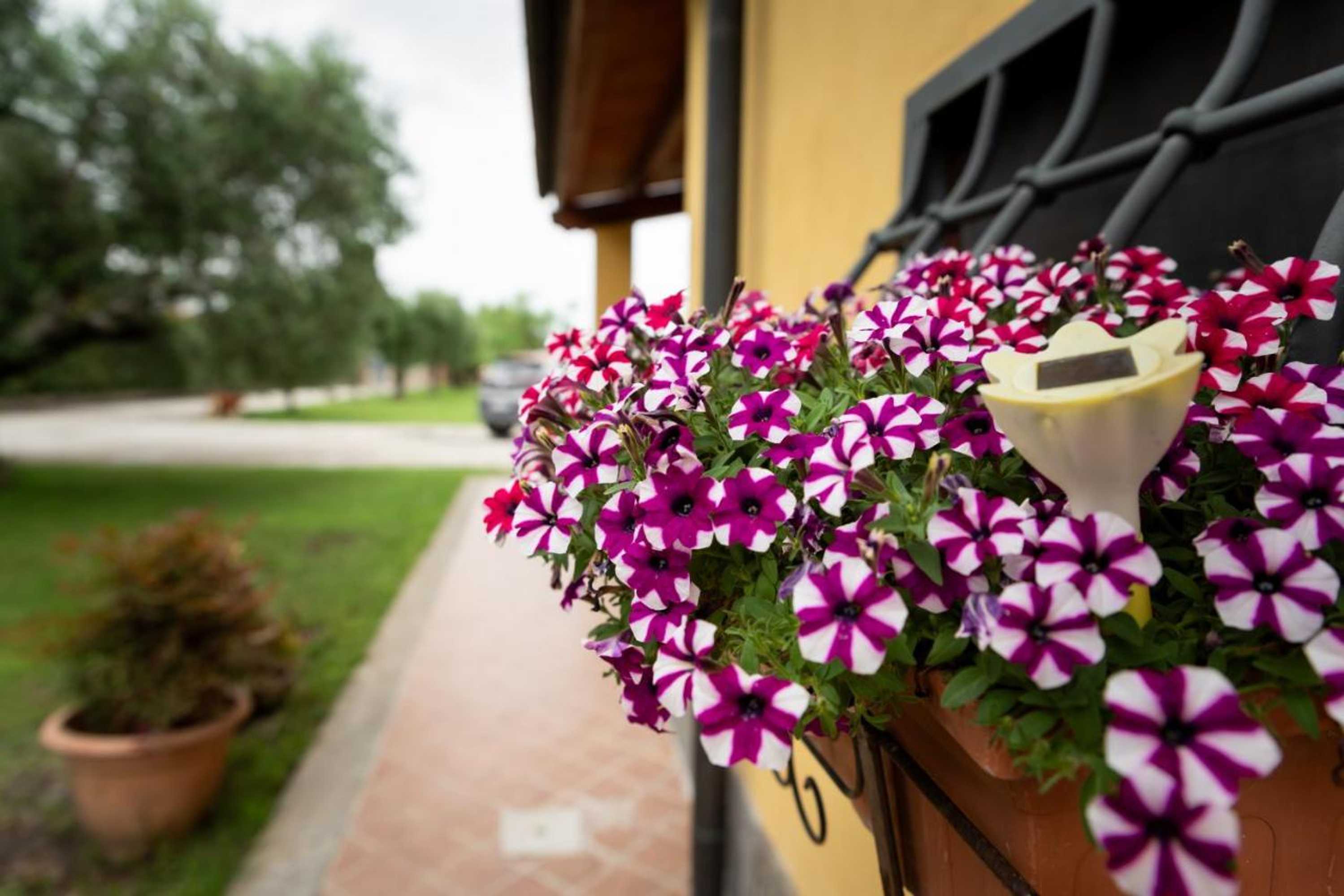 Gift card for L'antico Vigneto