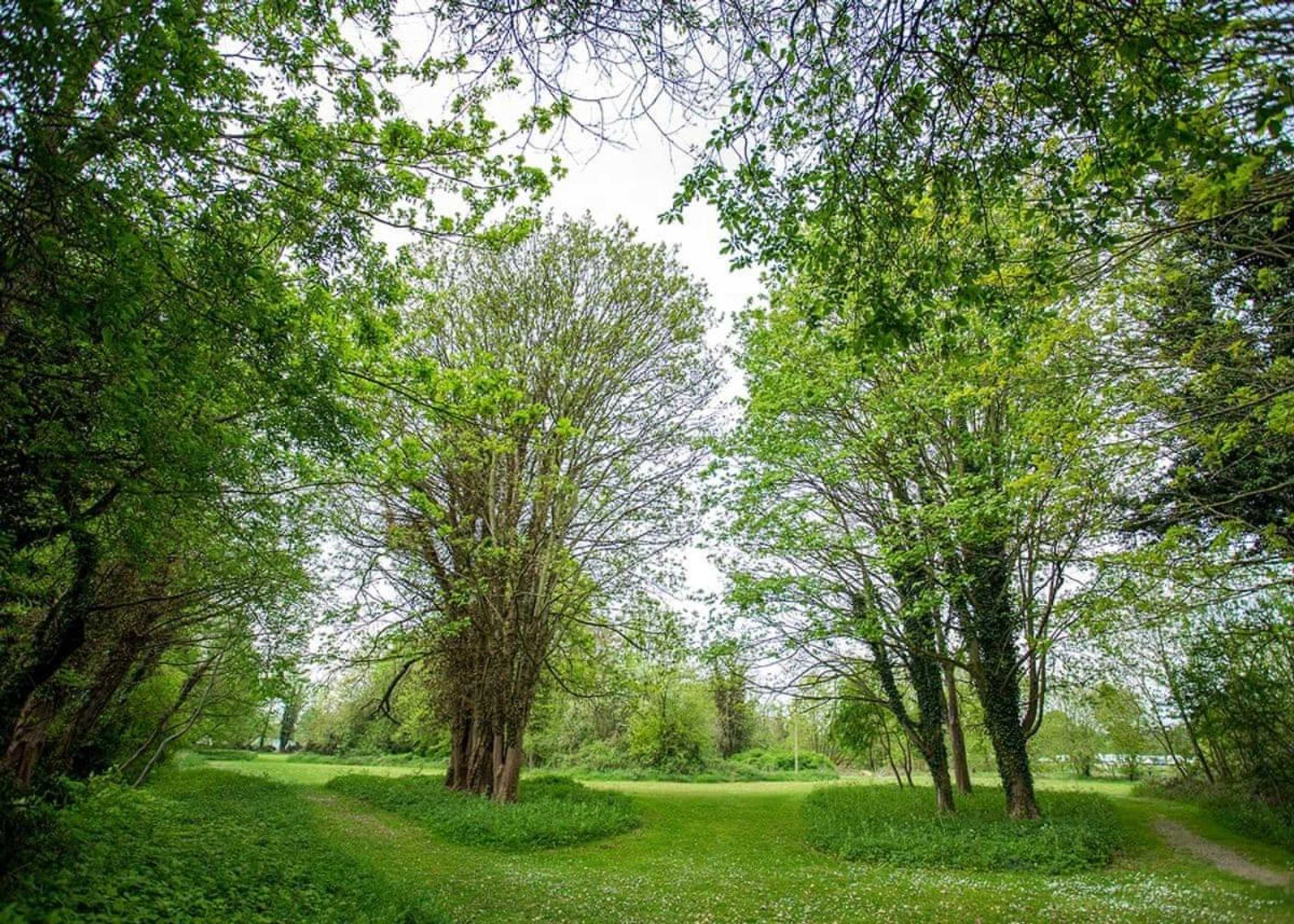 Gift card for Lee Valley