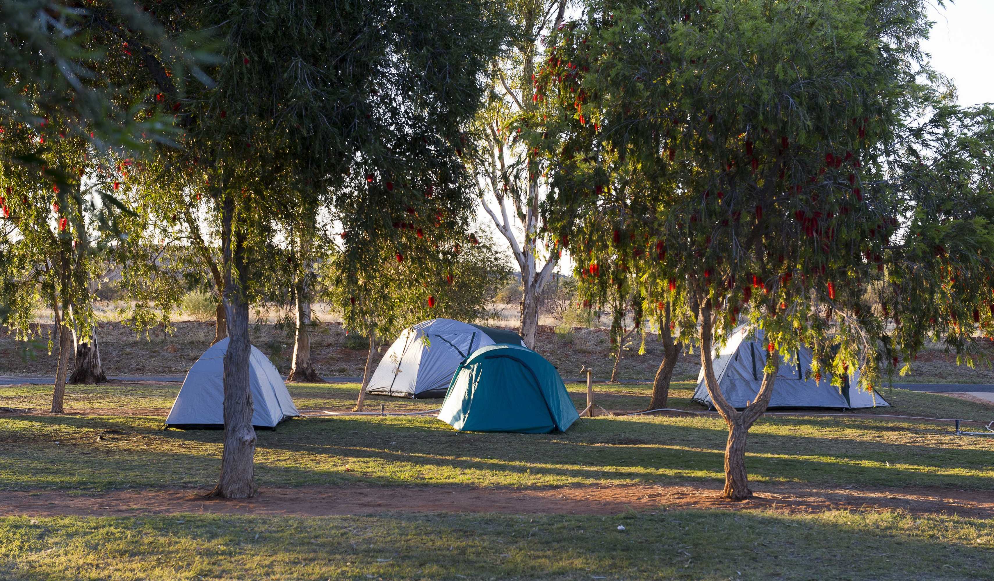 Gift card for Discovery Parks - Alice Springs Gift card for Discovery Parks - Alice Springs