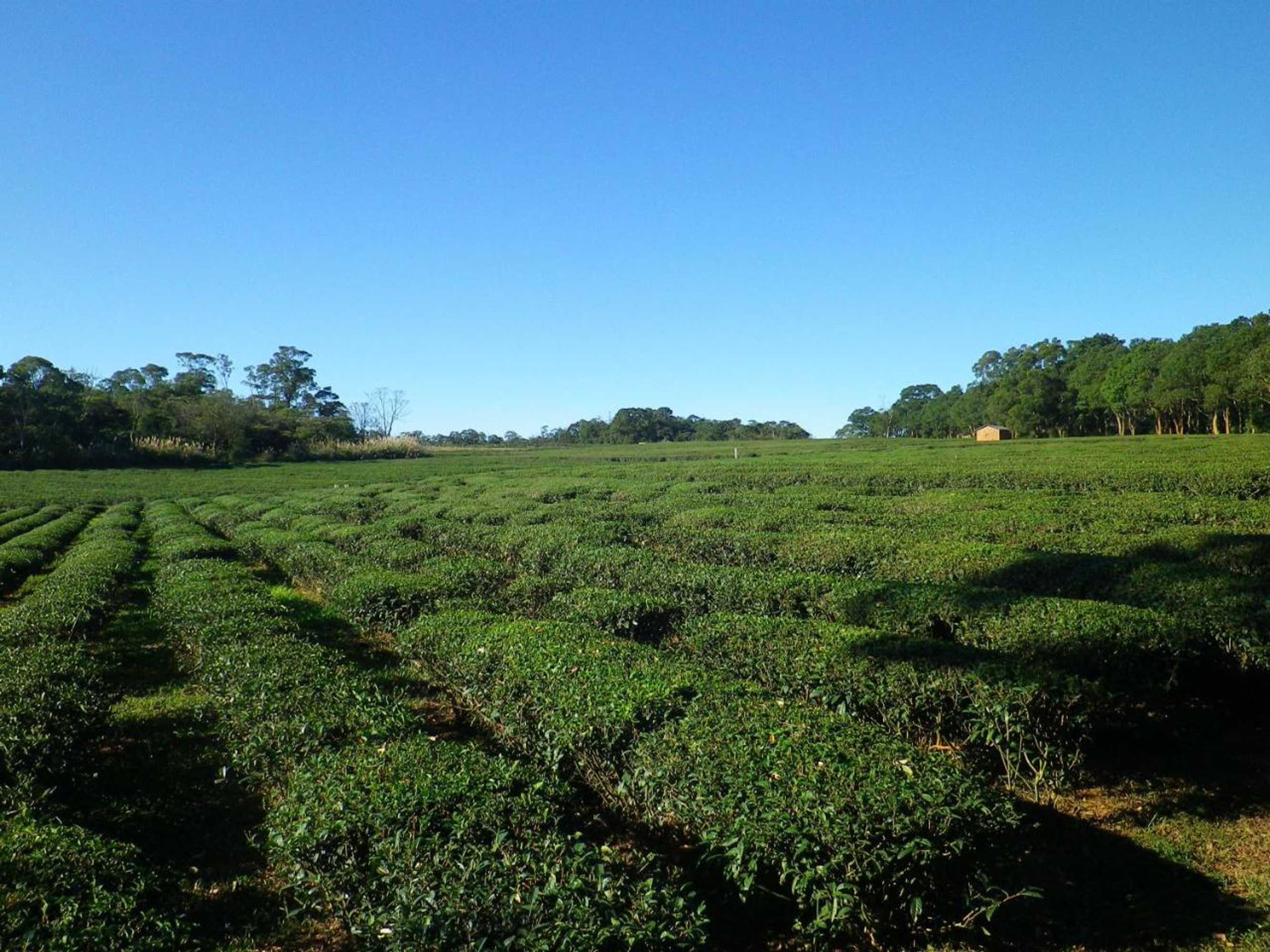 Gift card for Gandan B&b