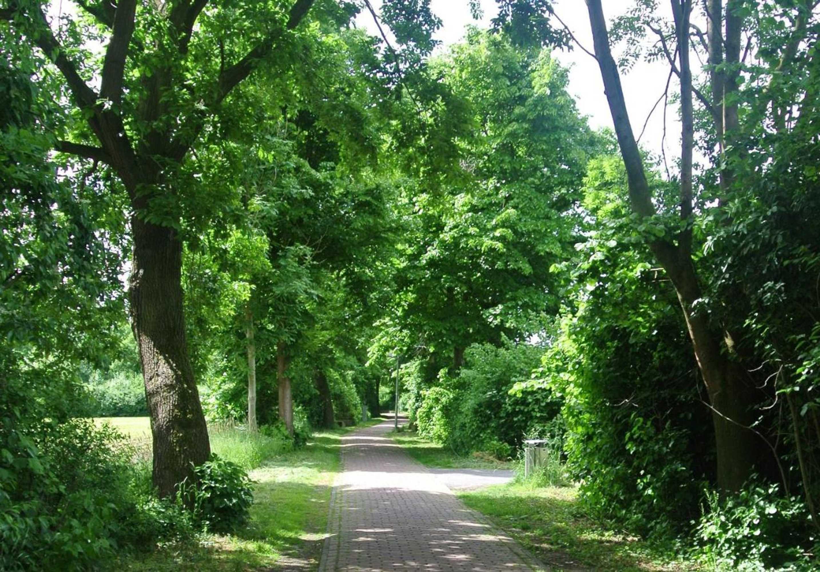 Gift card for Hotel No. 11