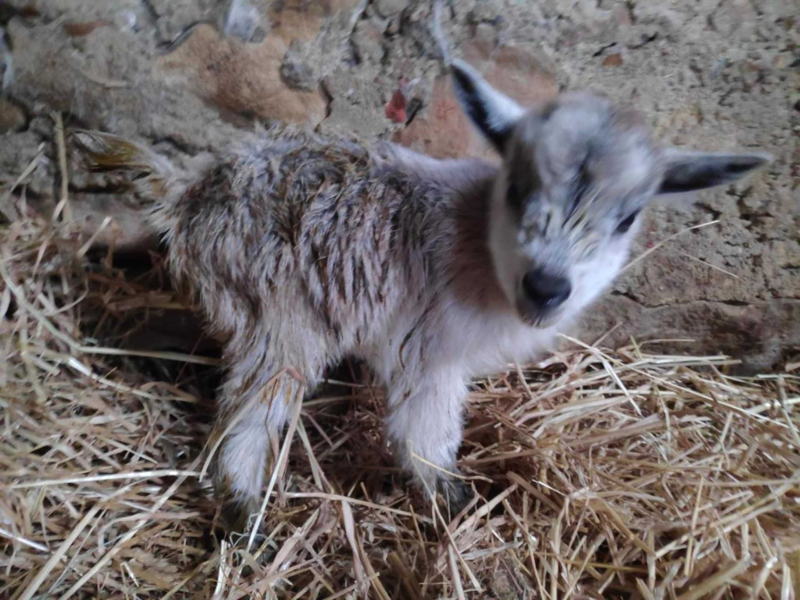 Gift card for Nature Et Al House Gift card for Nature Et Al House