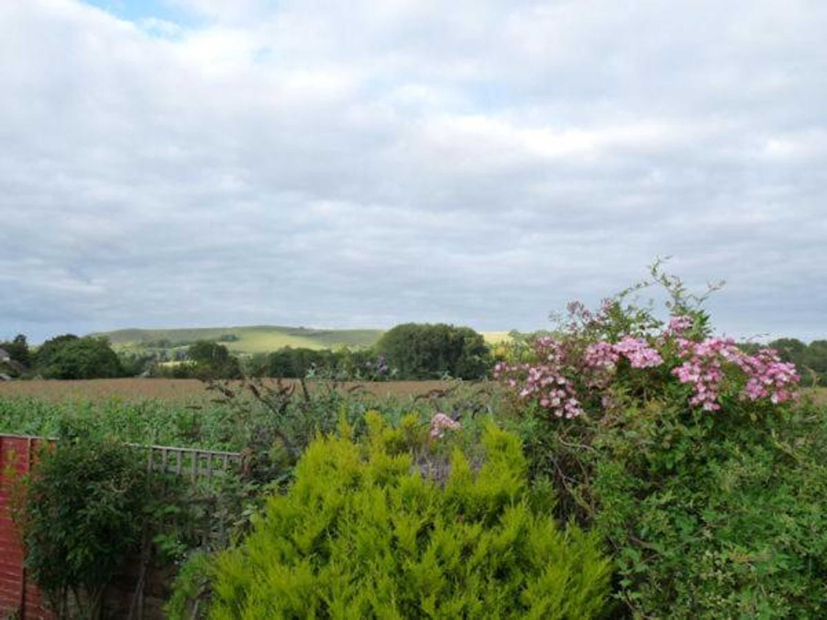 Gift card for The Willows