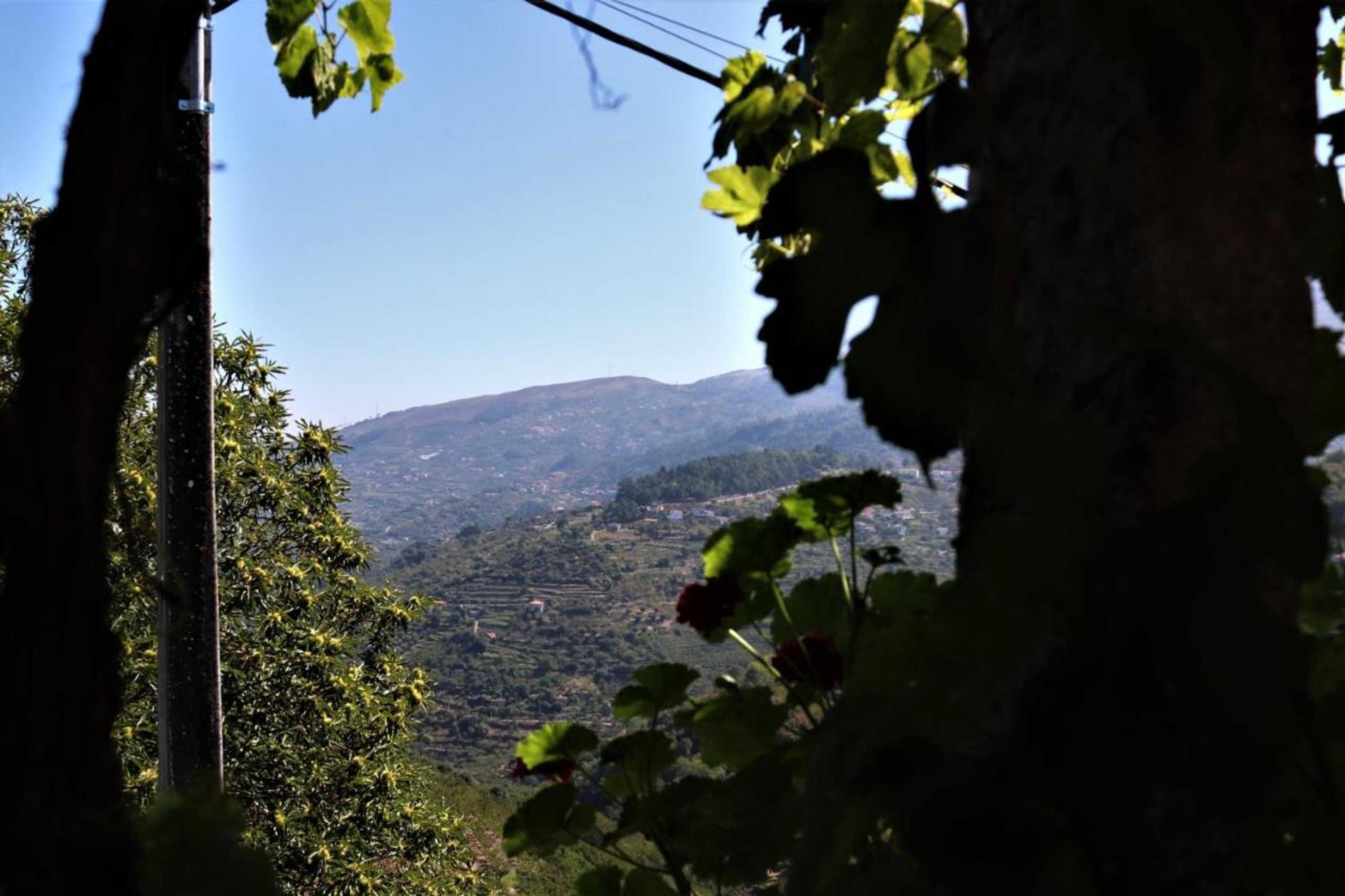 Gift card for Casa de São João Das Castanheiras Gift card for Casa de São João Das Castanheiras